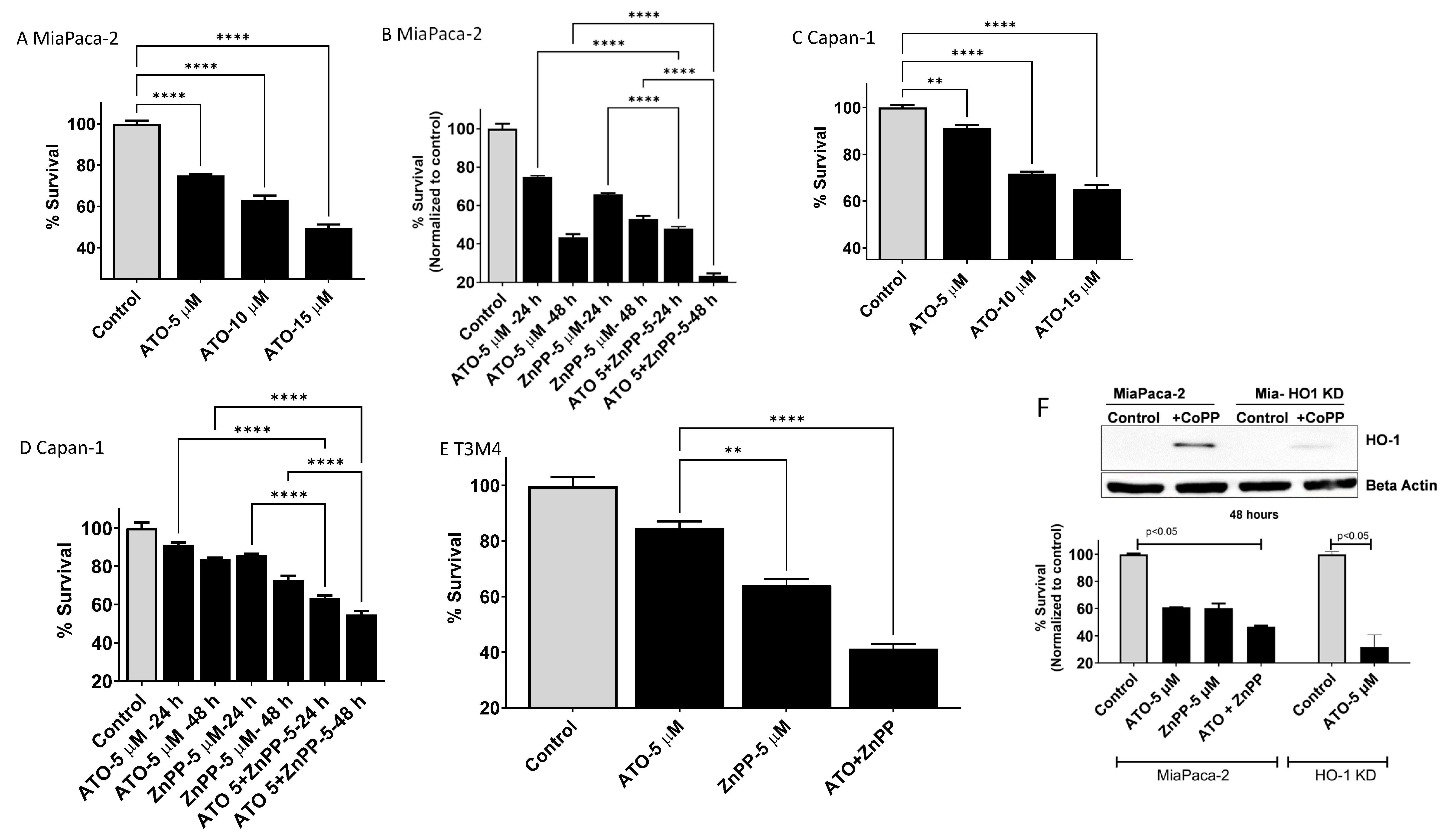 Biomedicines 11 02580 g002