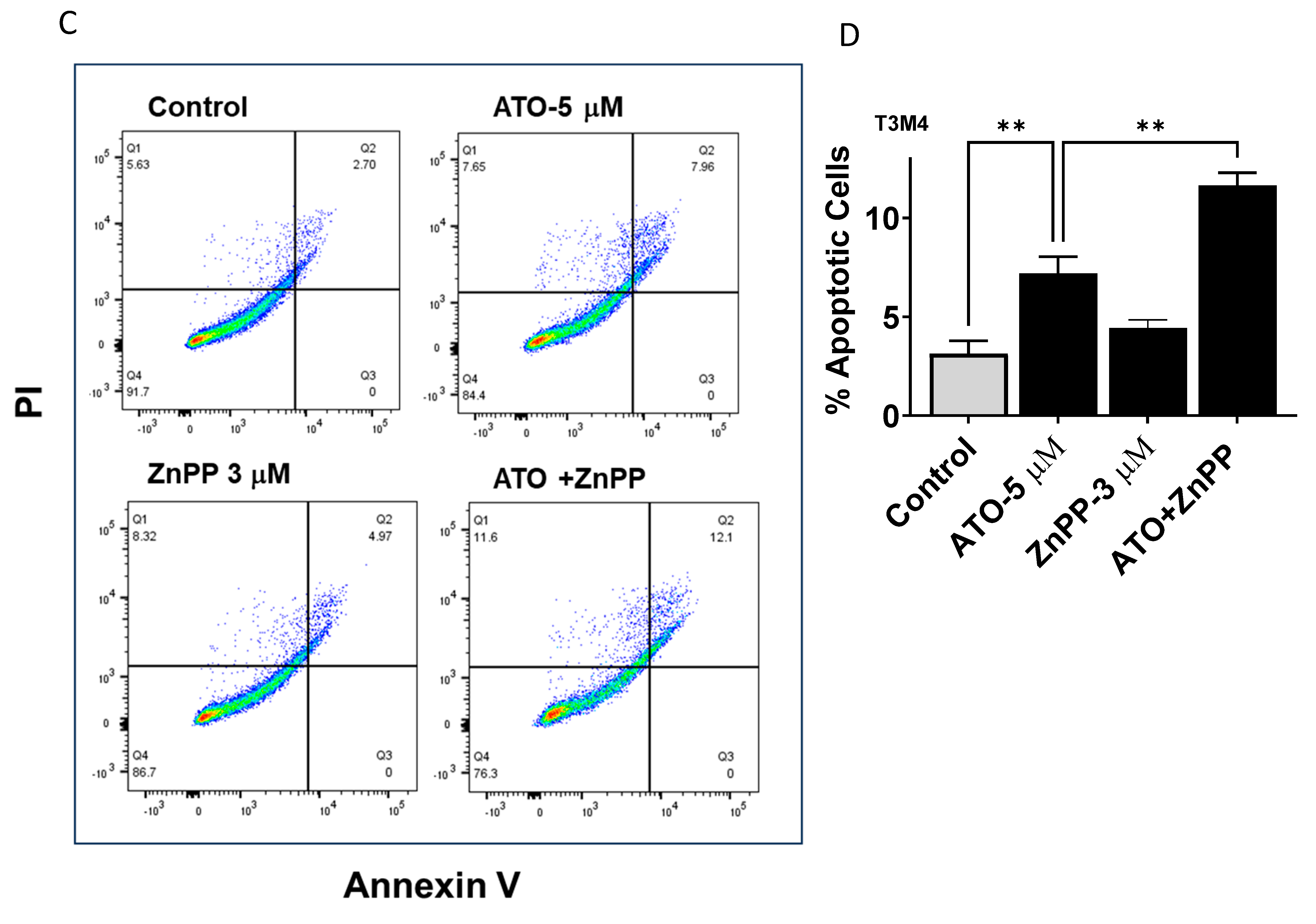 Biomedicines 11 02580 g003b