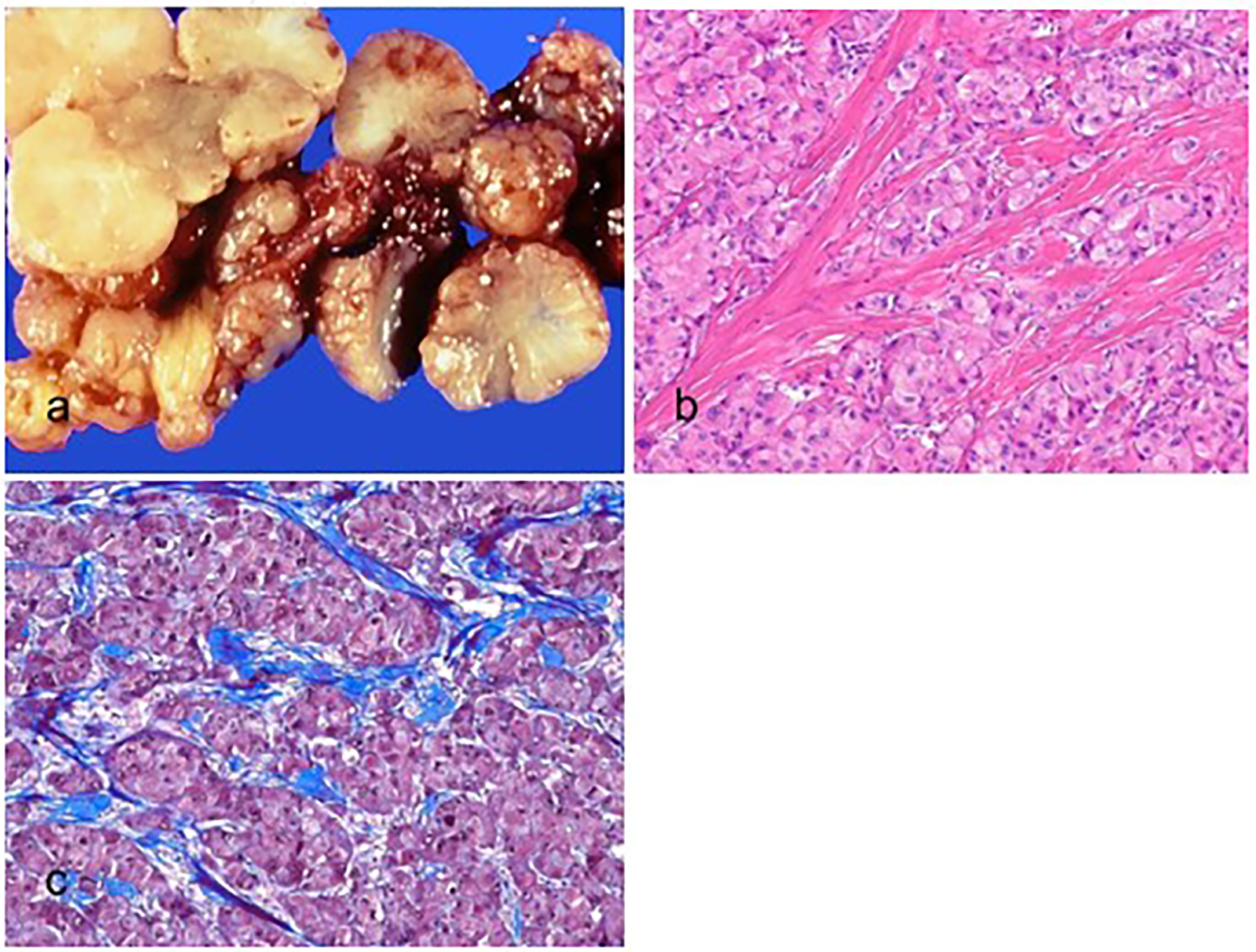 Biomedicines 11 02582 g005