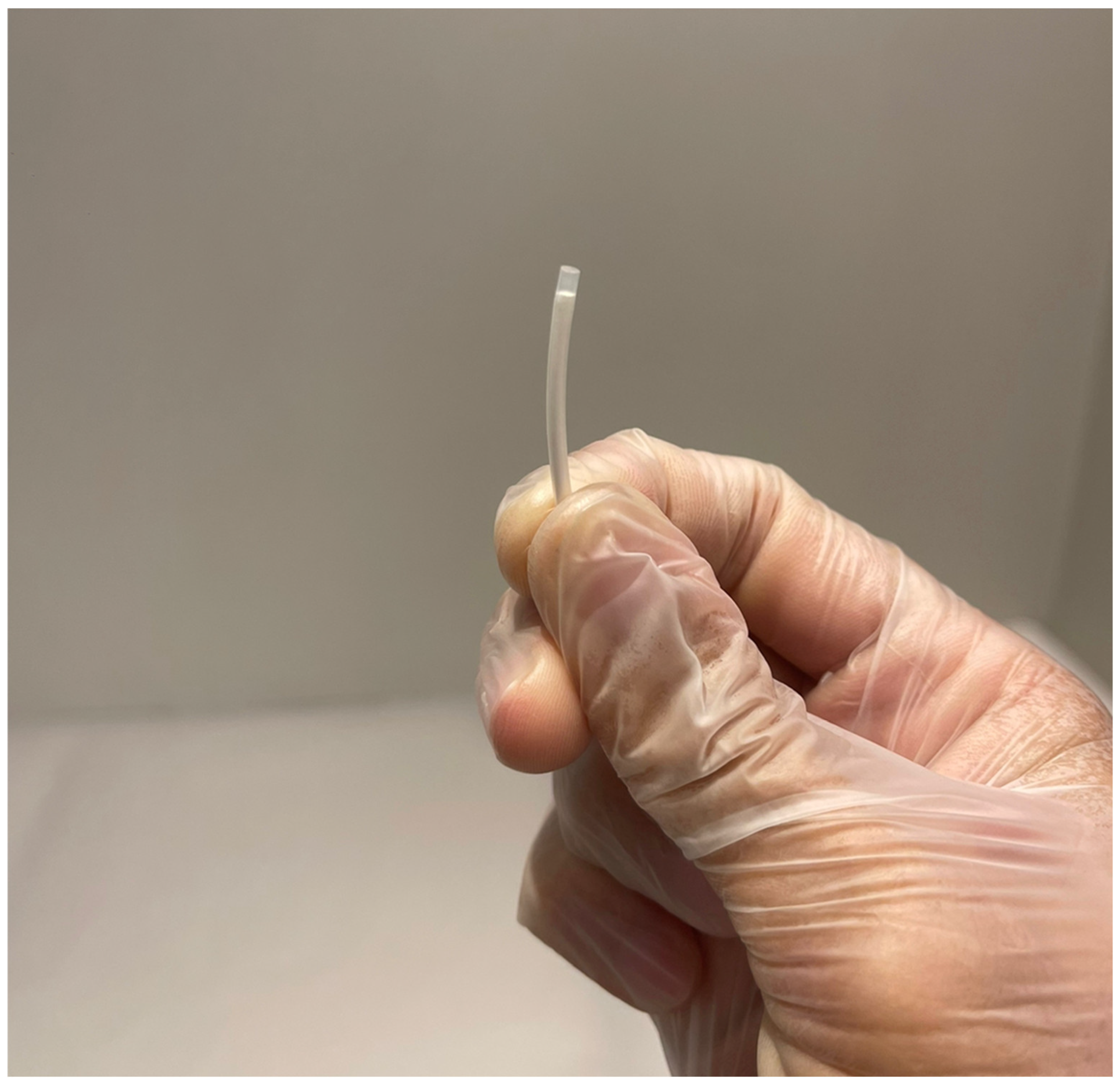 Biomedicines 11 02586 g002