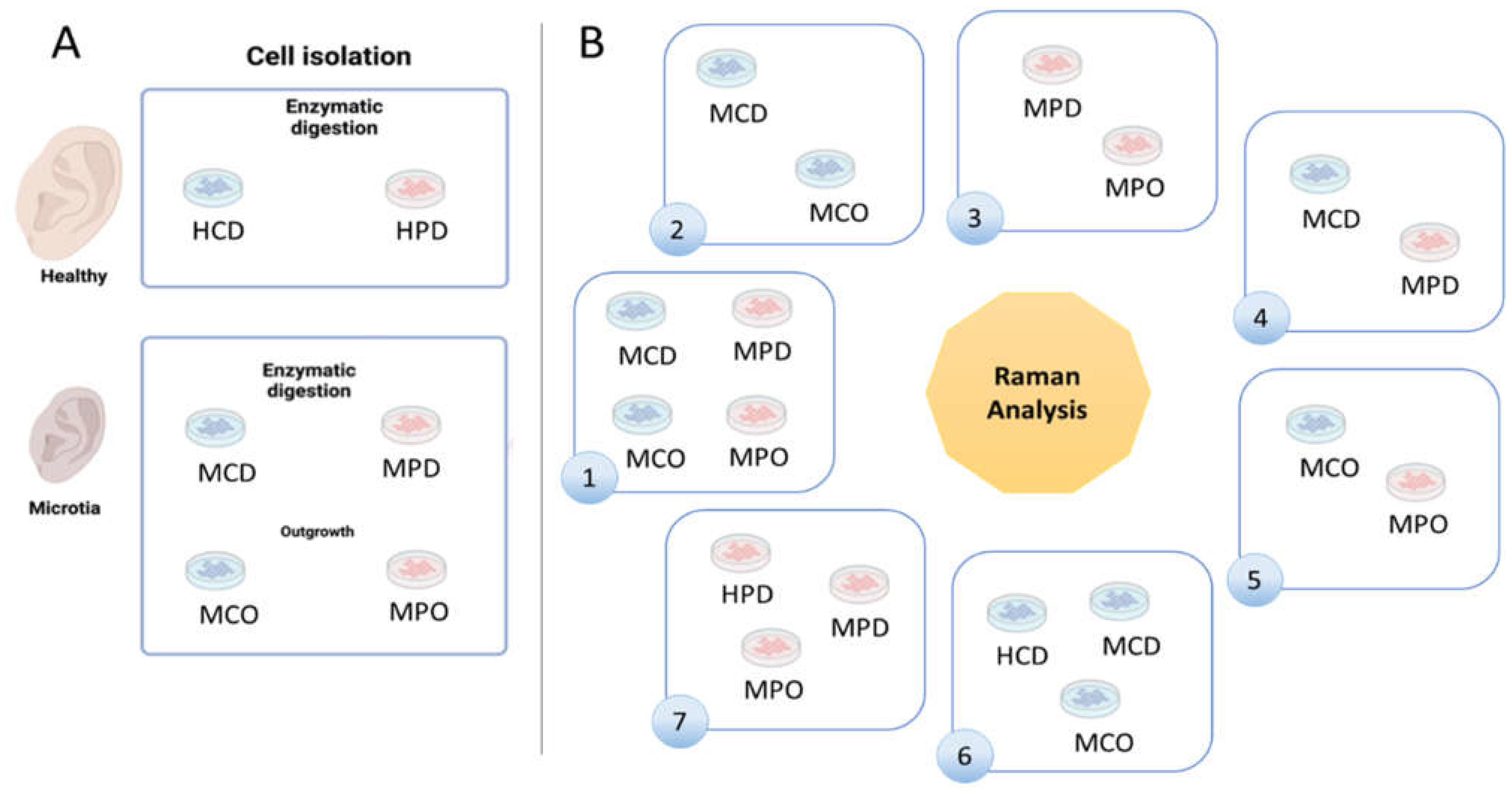Biomedicines 11 02588 g001