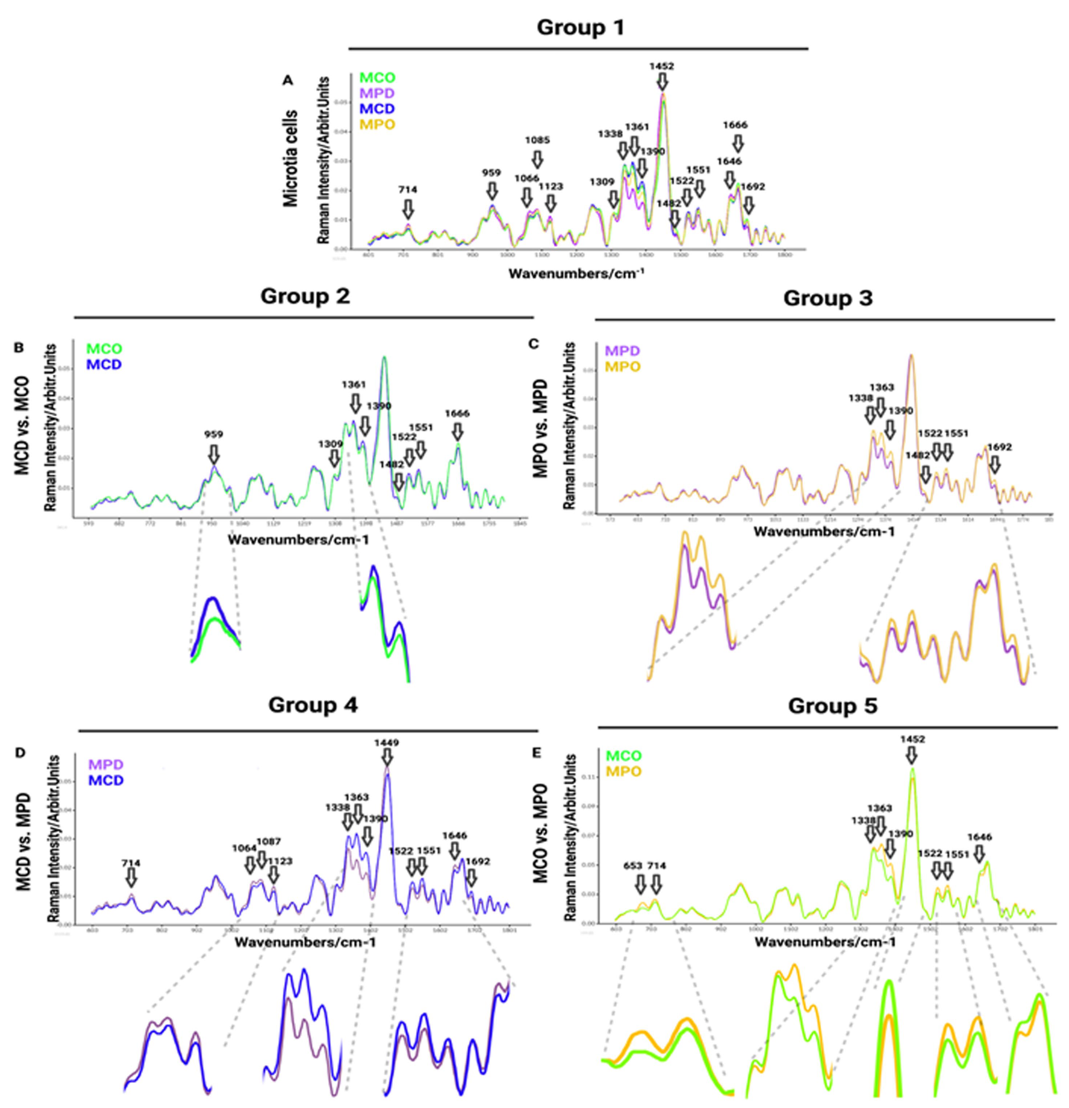 Biomedicines 11 02588 g003