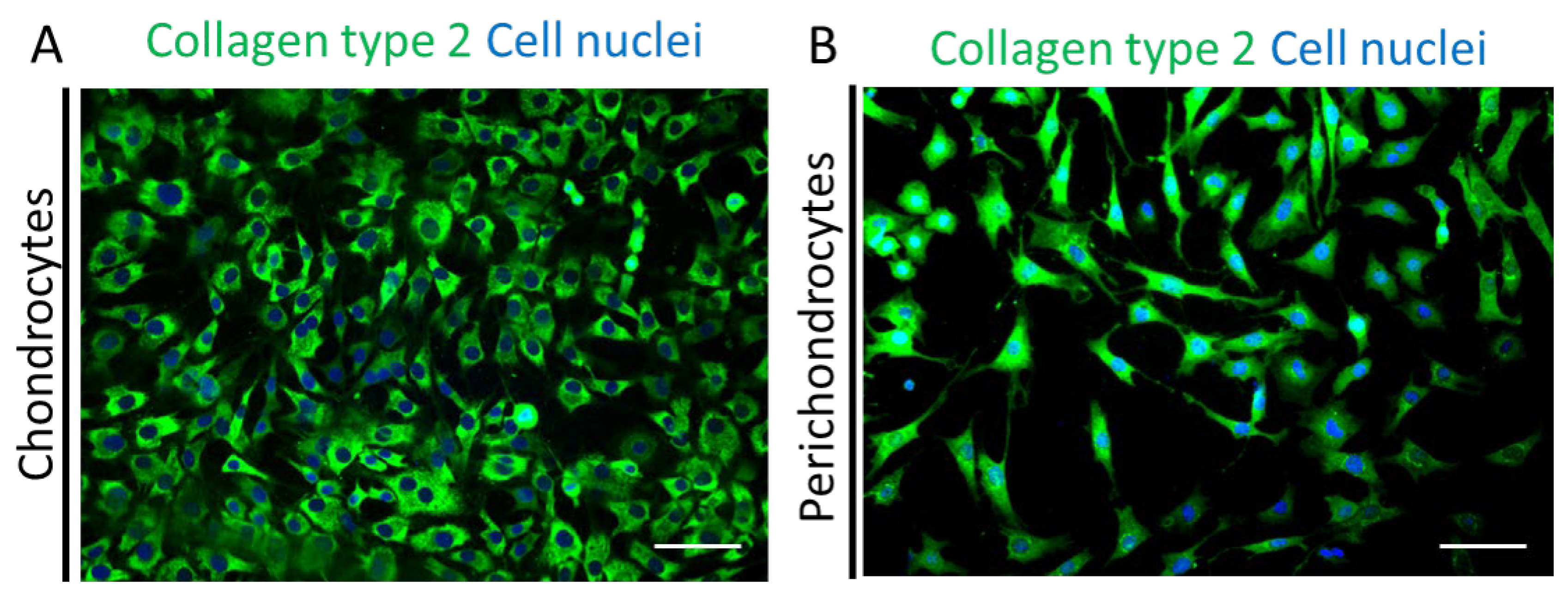 Biomedicines 11 02588 g005