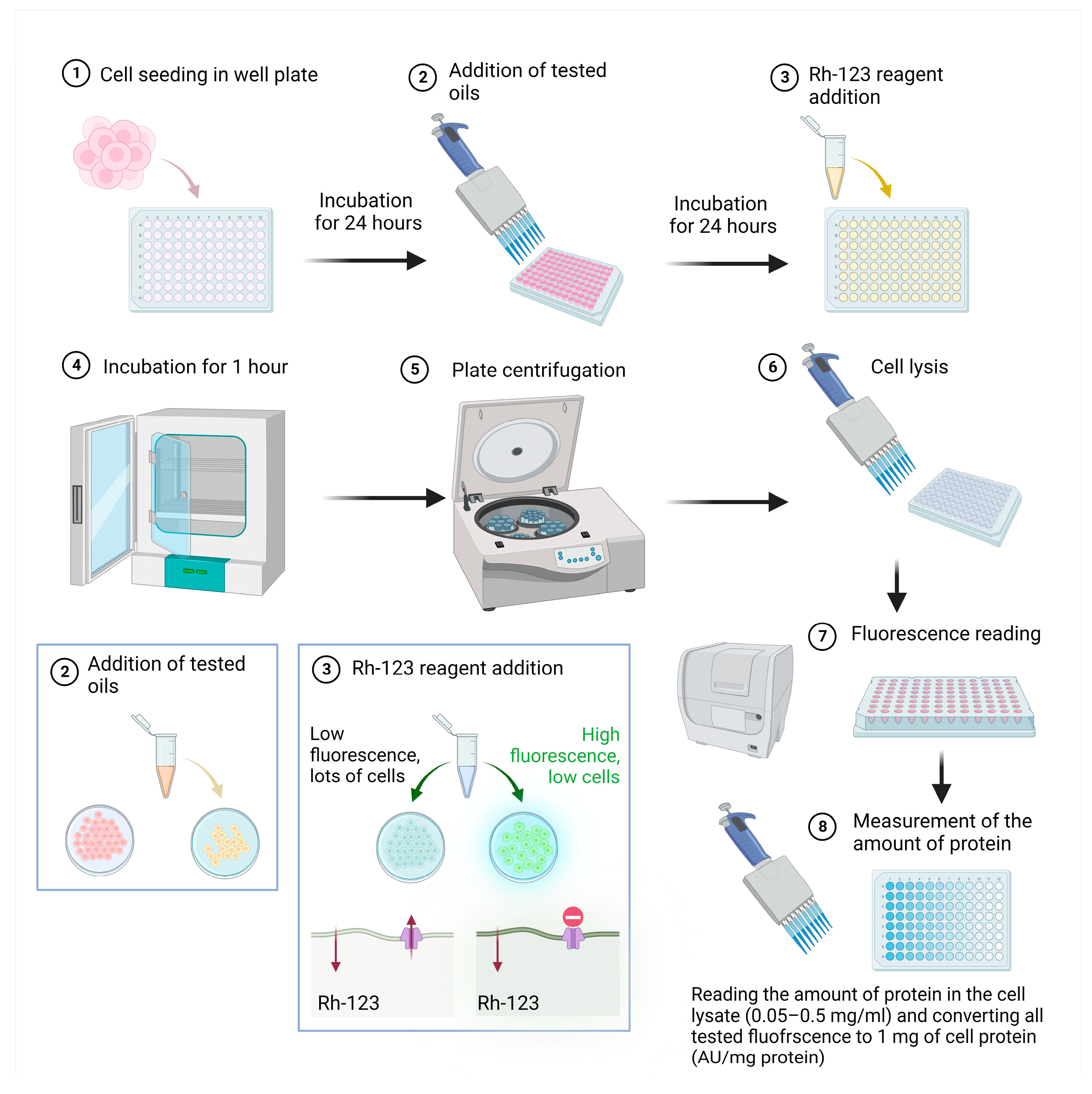 Biomedicines 11 02592 g001