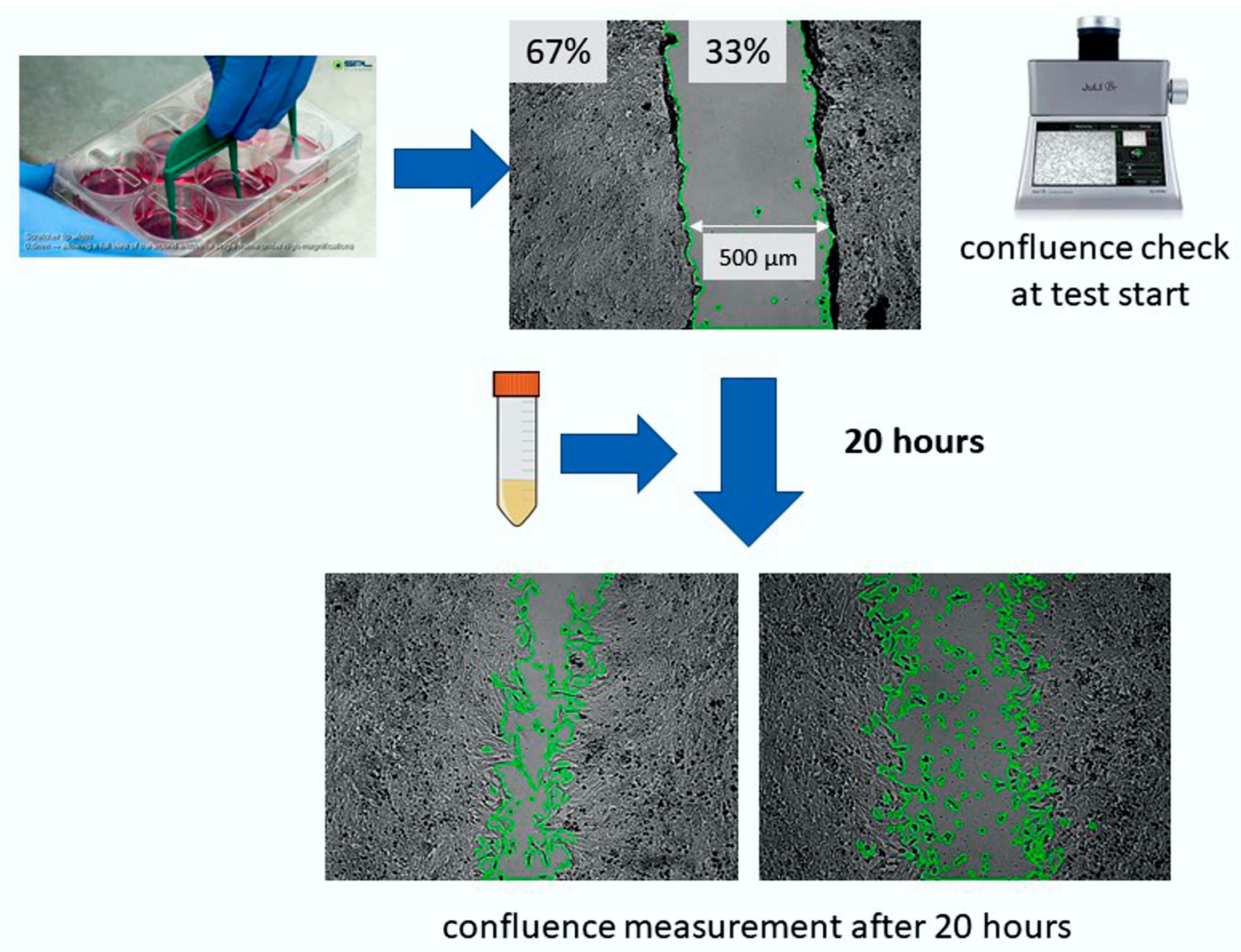 Biomedicines 11 02592 g002