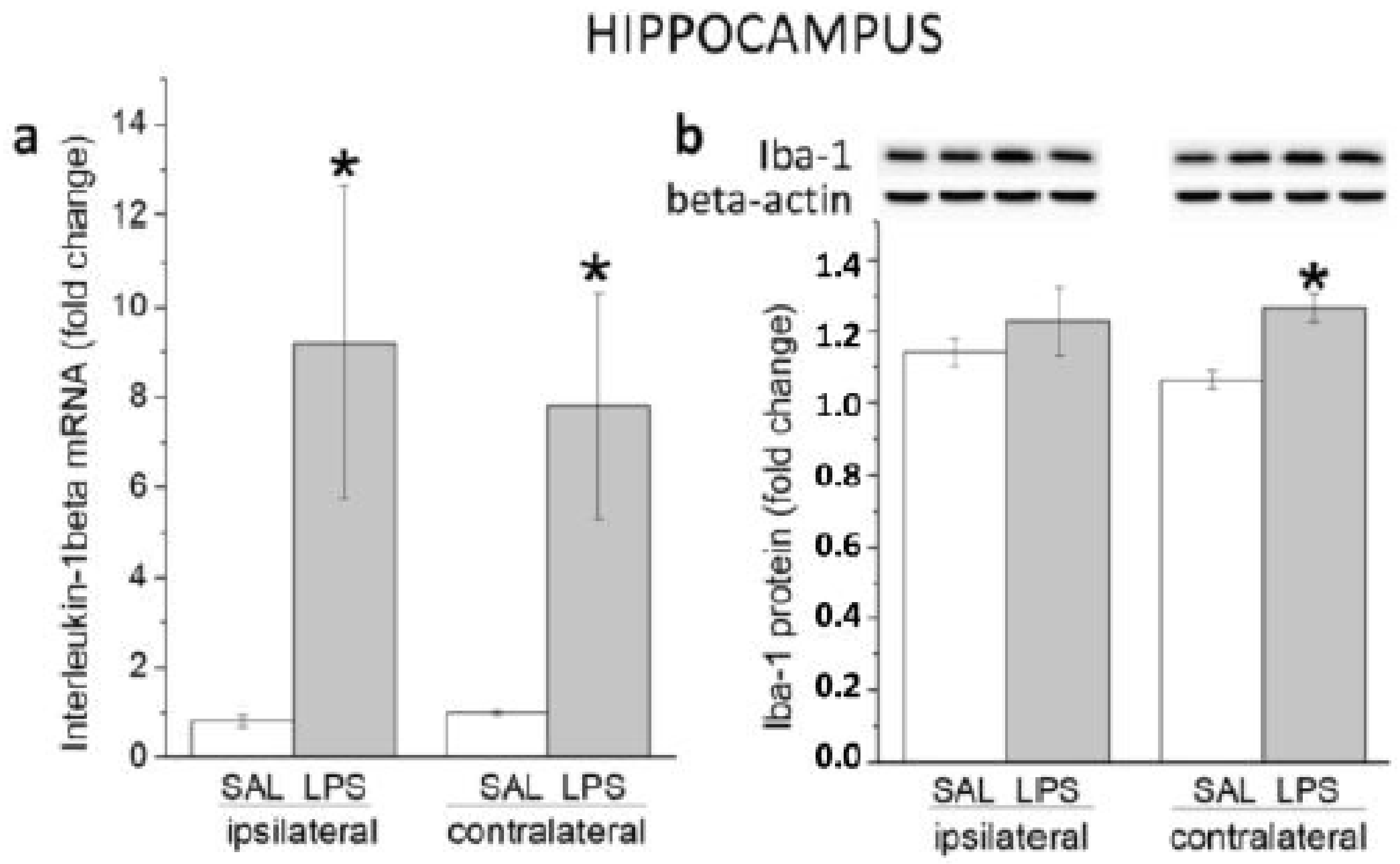 Biomedicines 11 02595 g002 Biomedicines 11 02595 g002