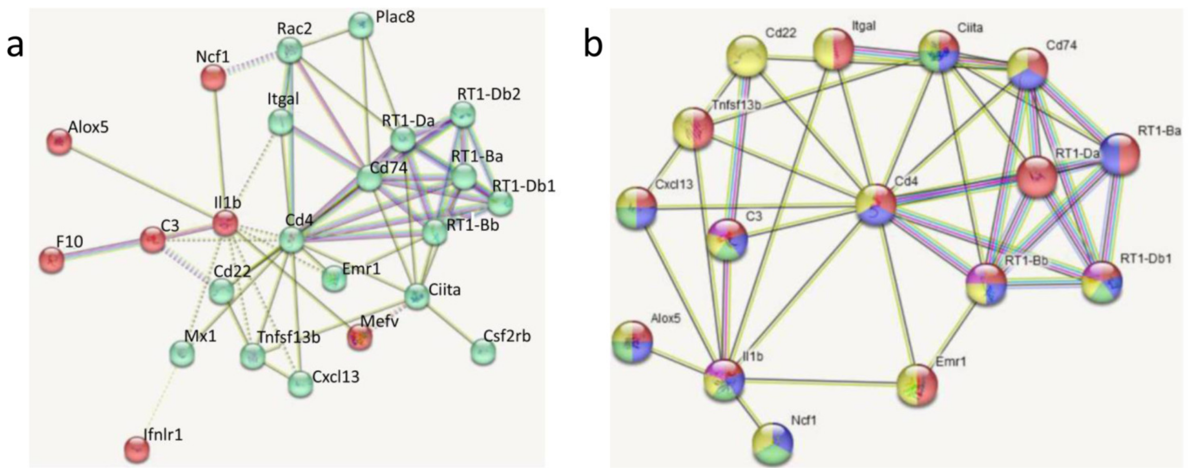 Biomedicines 11 02595 g007 Biomedicines 11 02595 g007
