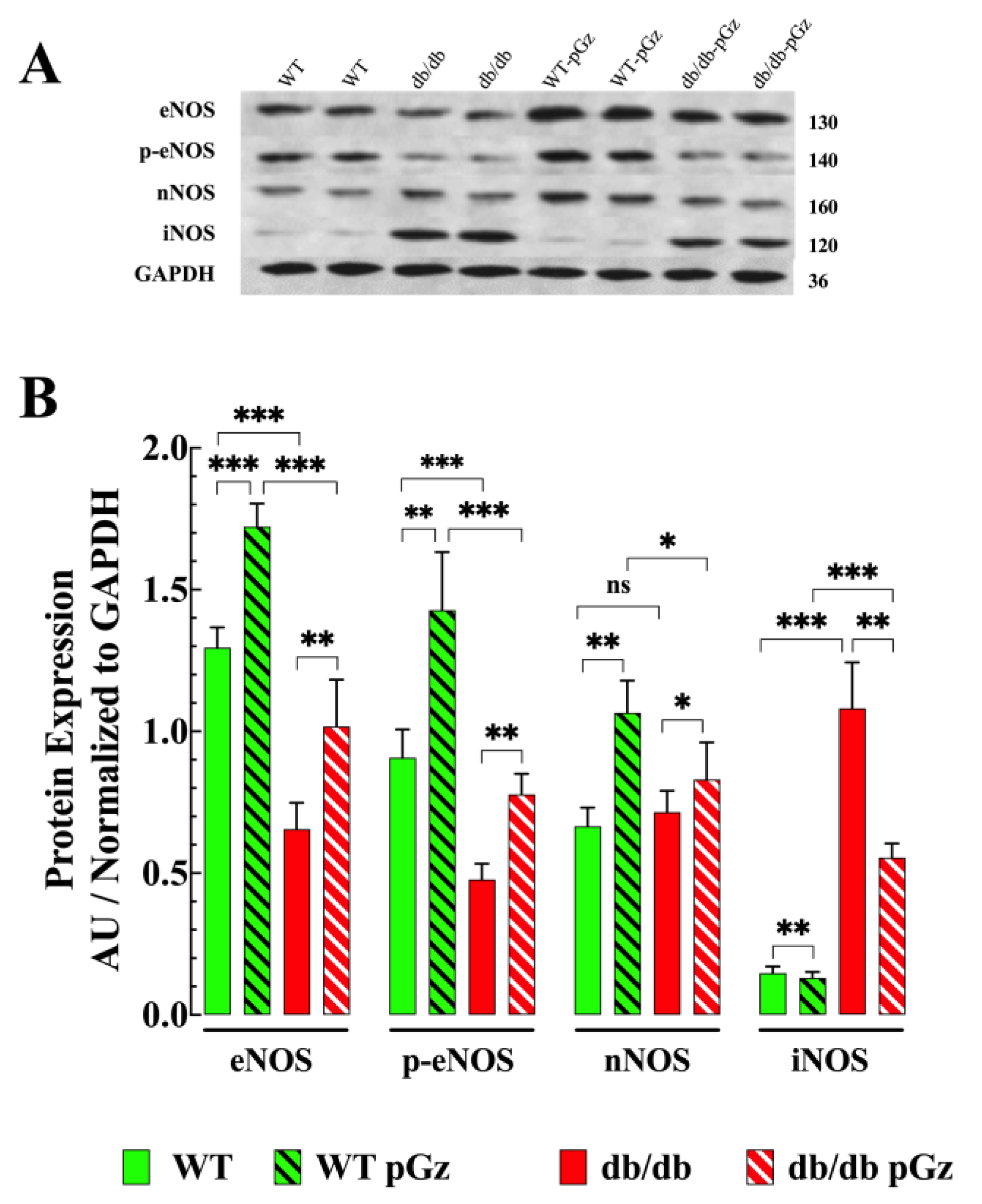 Biomedicines 11 02596 g008
