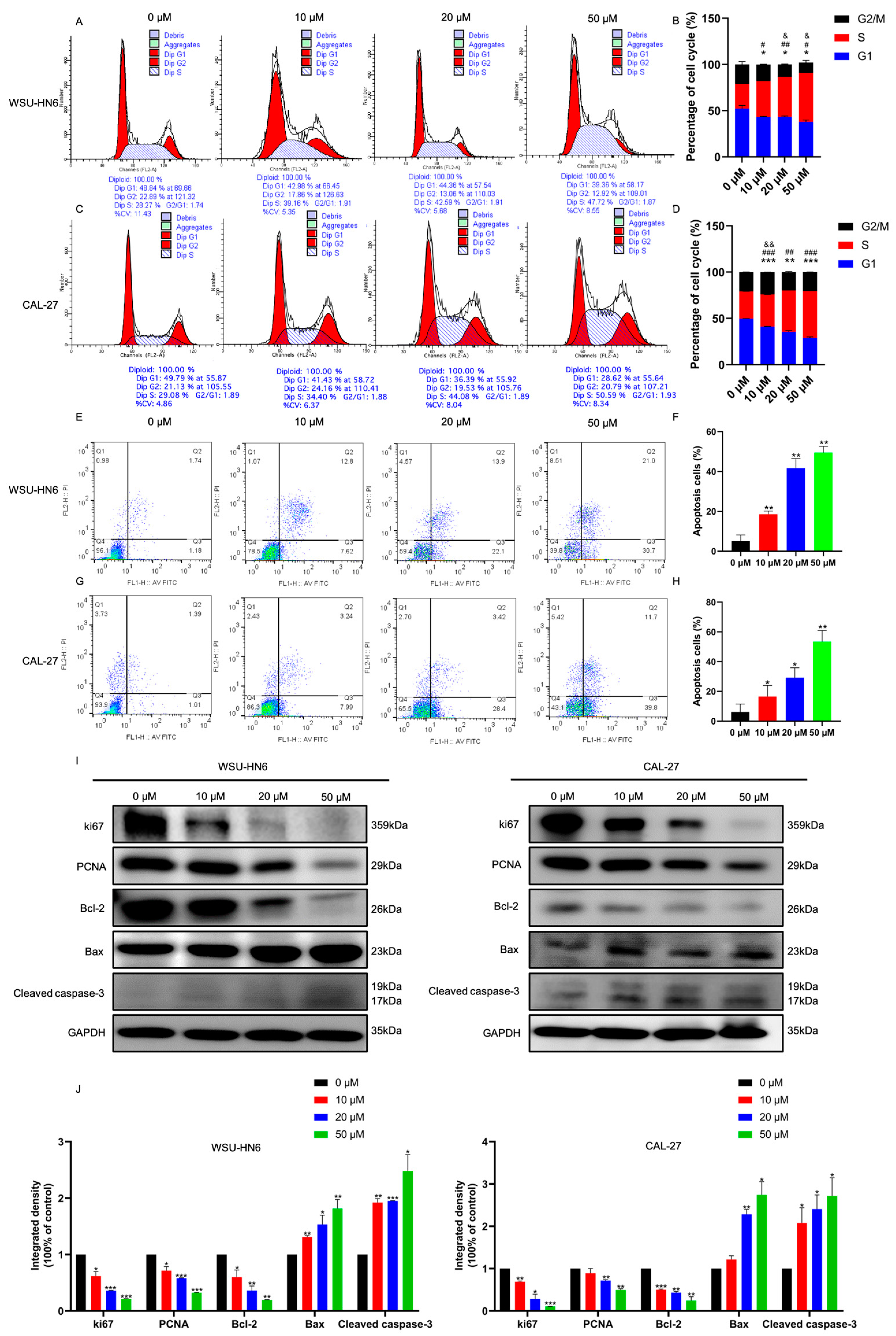 Biomedicines 11 02597 g003