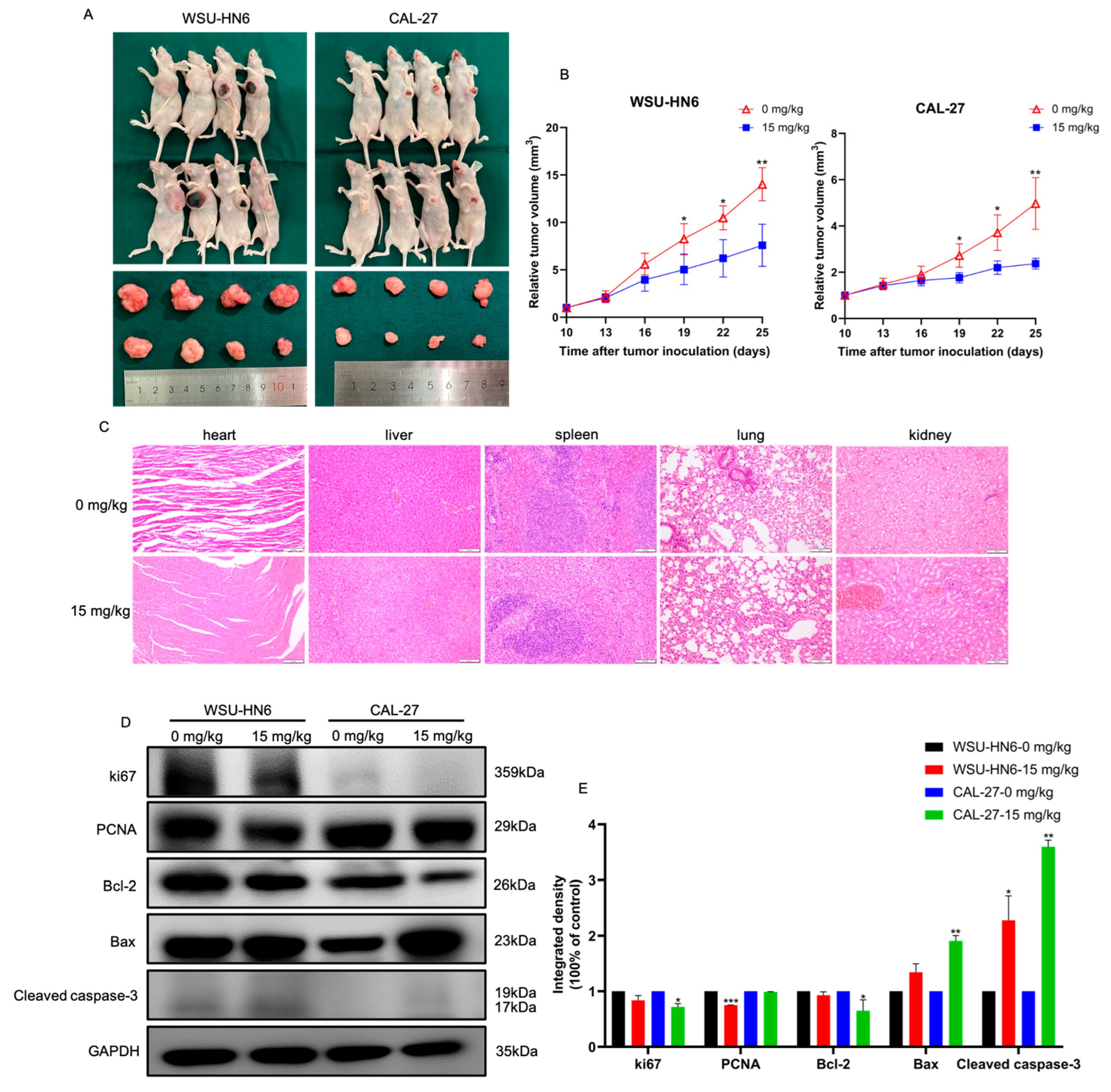 Biomedicines 11 02597 g004