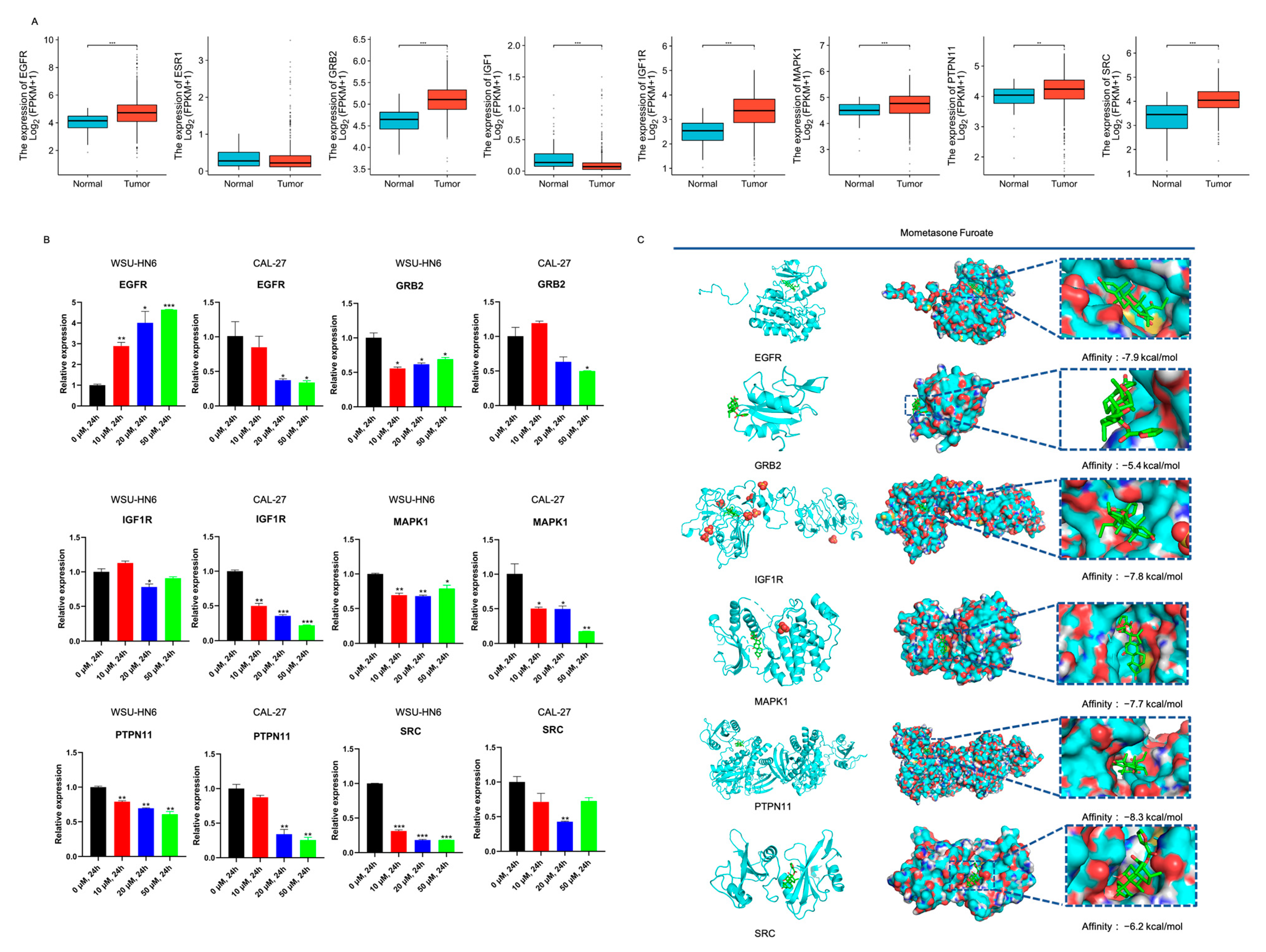 Biomedicines 11 02597 g006