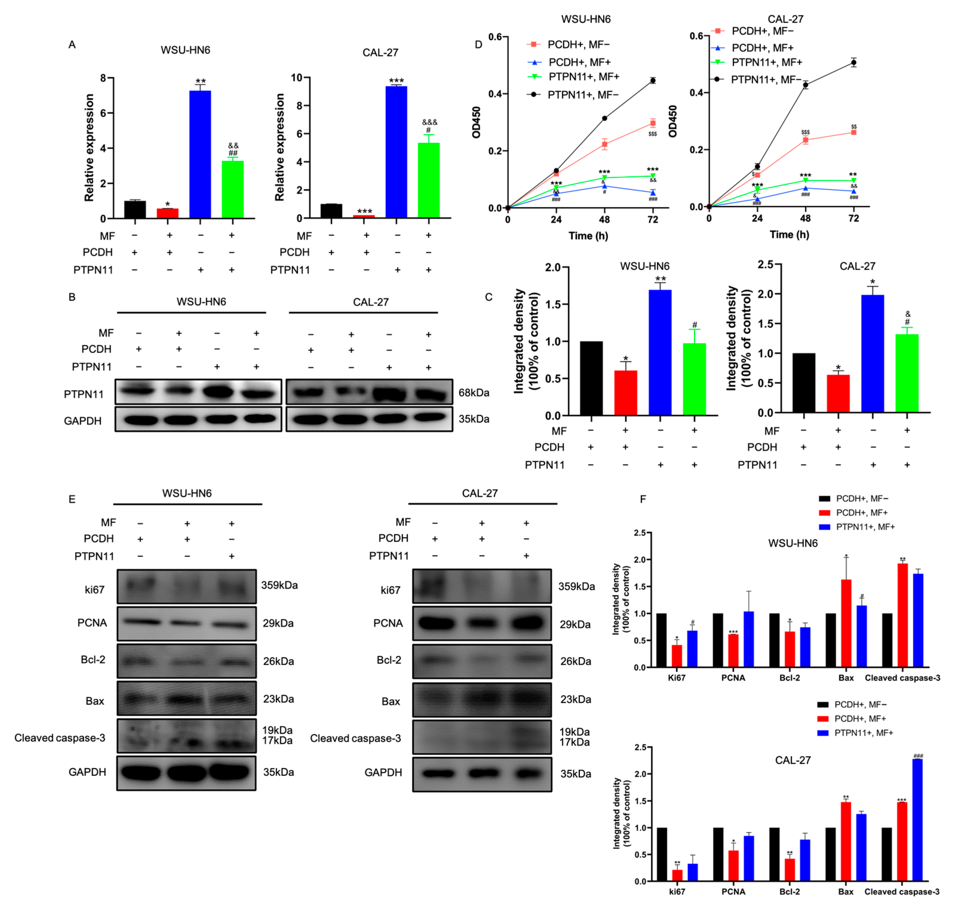 Biomedicines 11 02597 g007