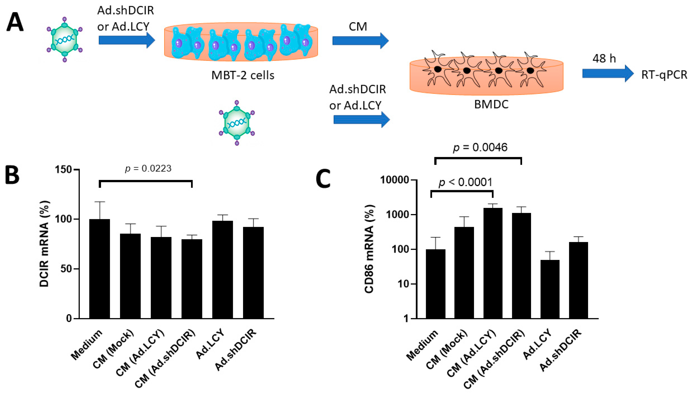 Biomedicines 11 02598 g001