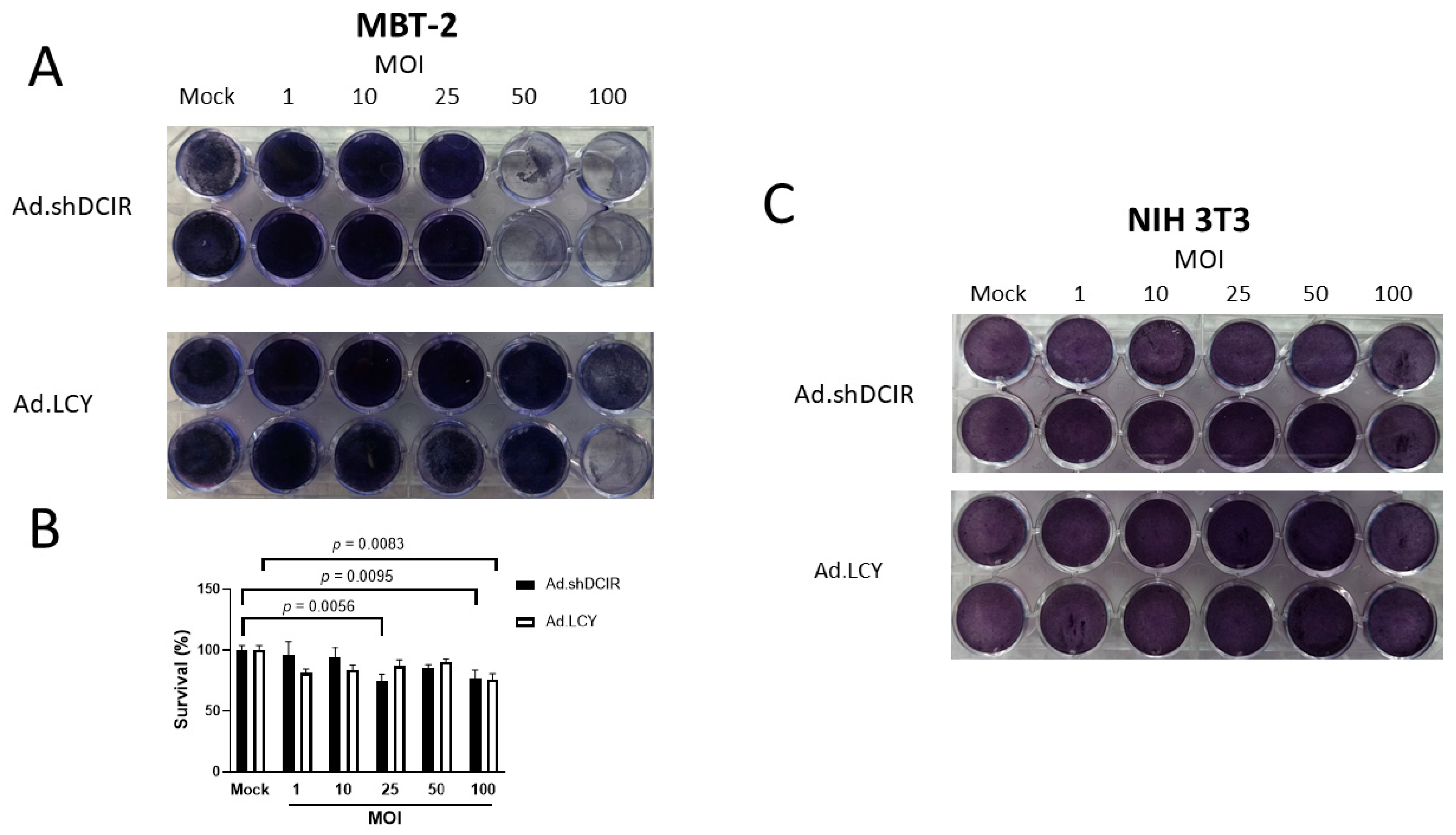 Biomedicines 11 02598 g002