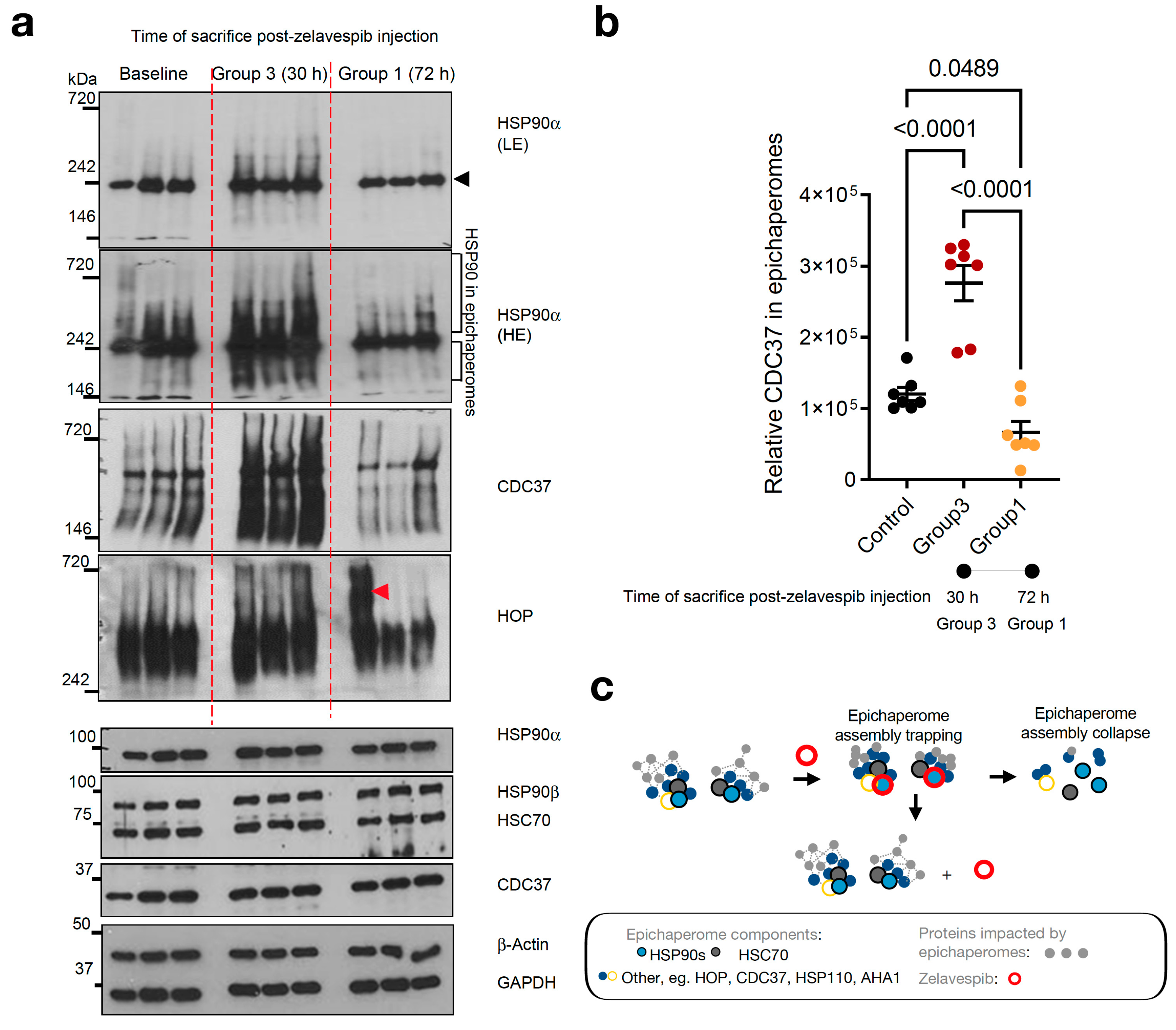 Biomedicines 11 02599 g004