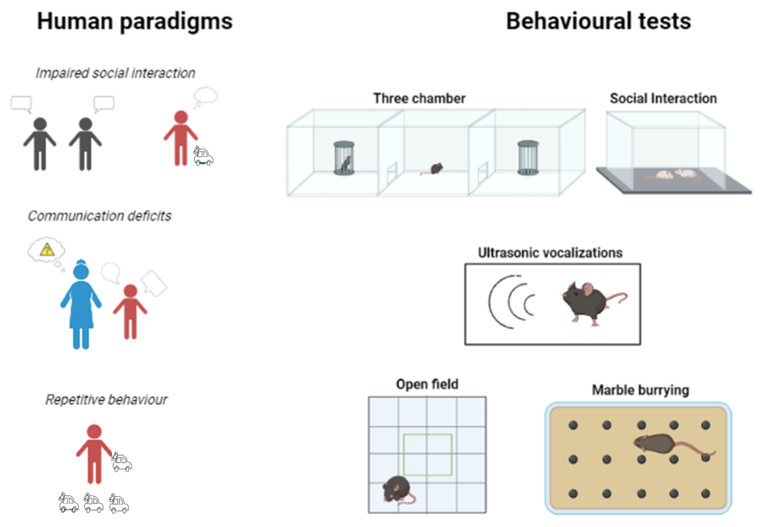 Biomedicines 11 02603 g002