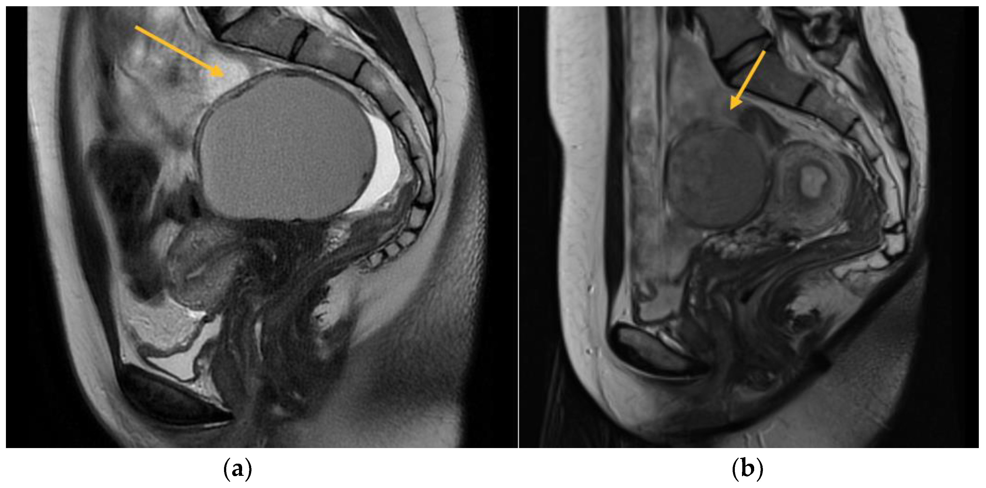 Biomedicines 11 02609 g001