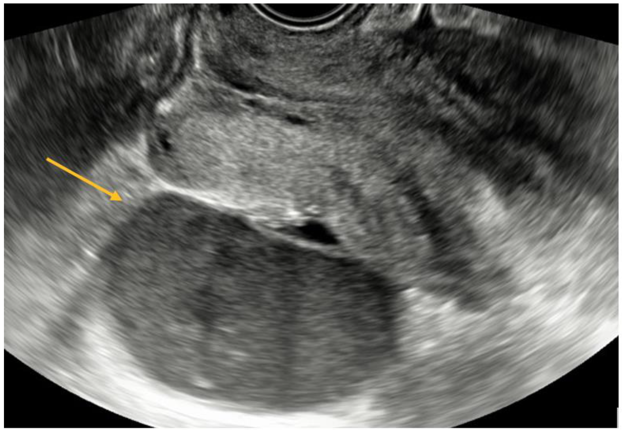 Biomedicines 11 02609 g003