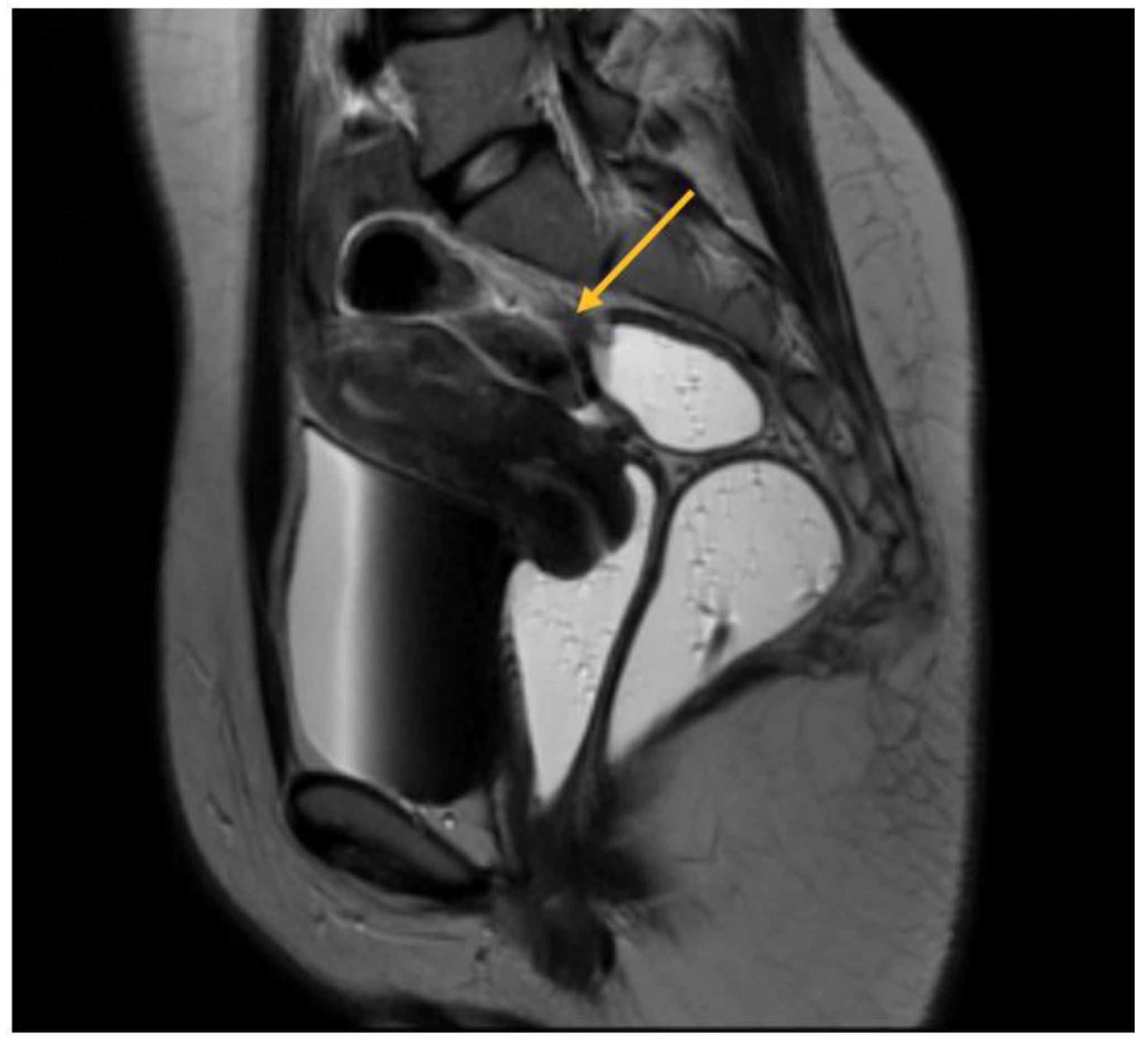 Biomedicines 11 02609 g004