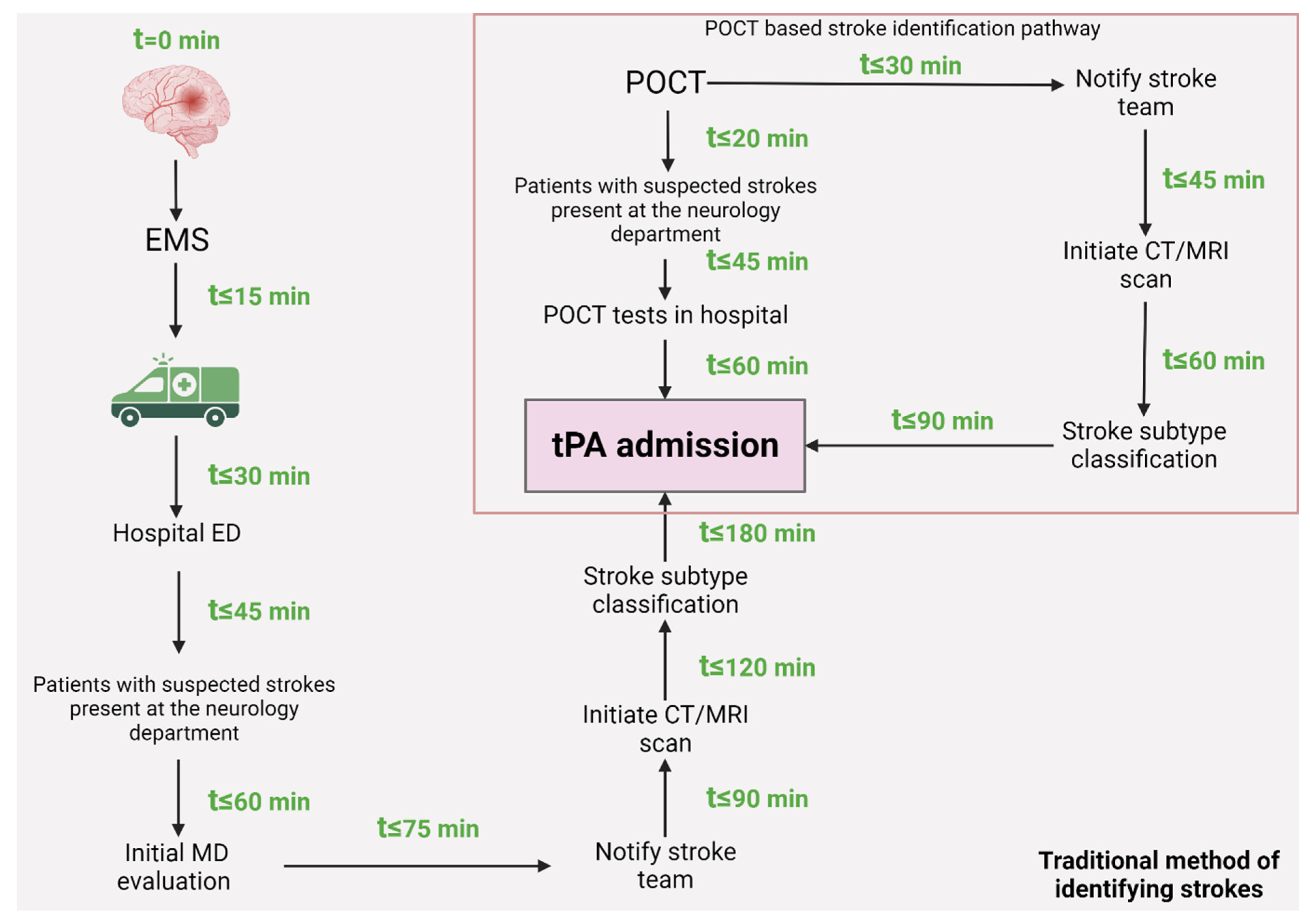 Biomedicines 11 02617 g003 Biomedicines 11 02617 g003