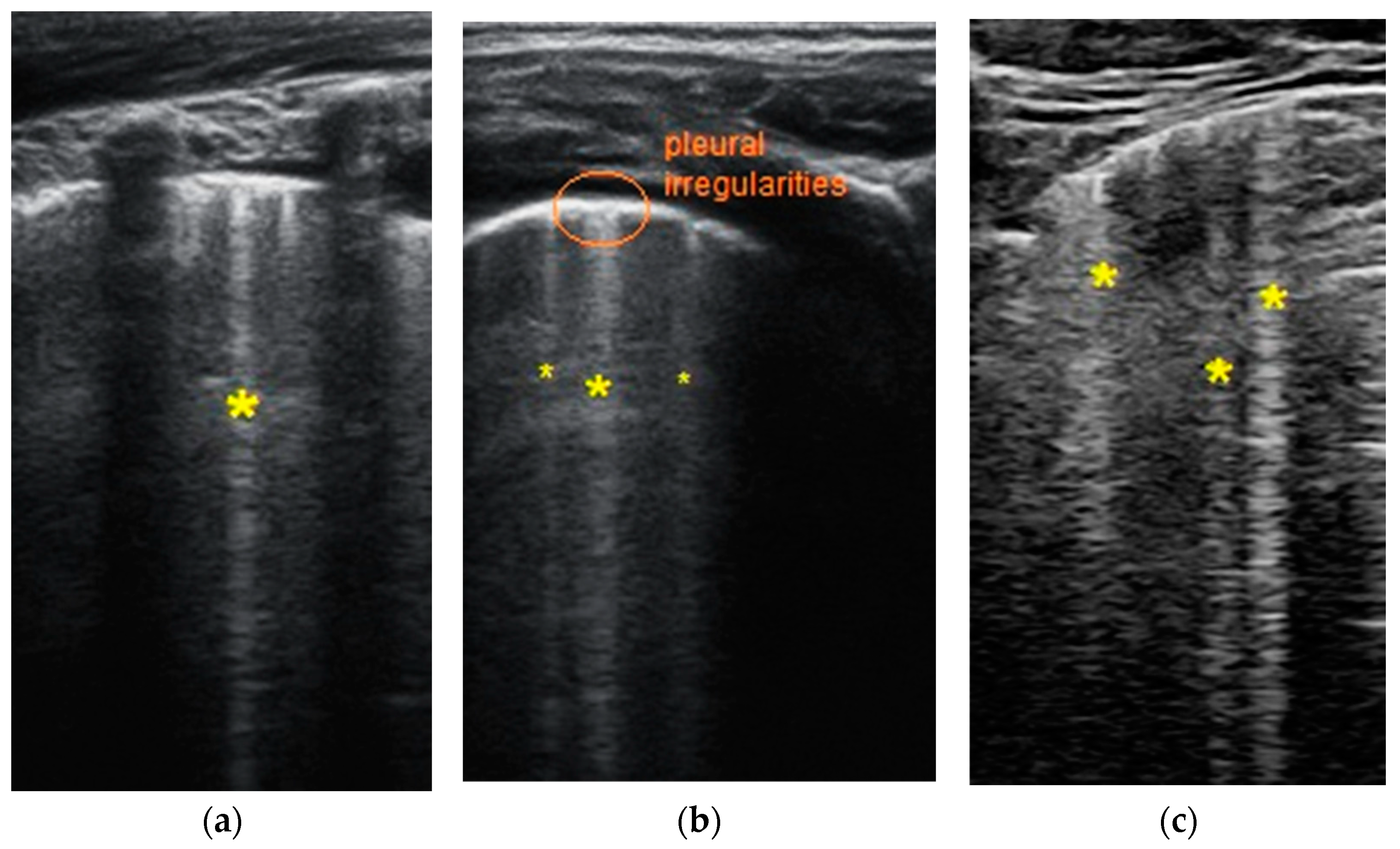 Biomedicines 11 02620 g002