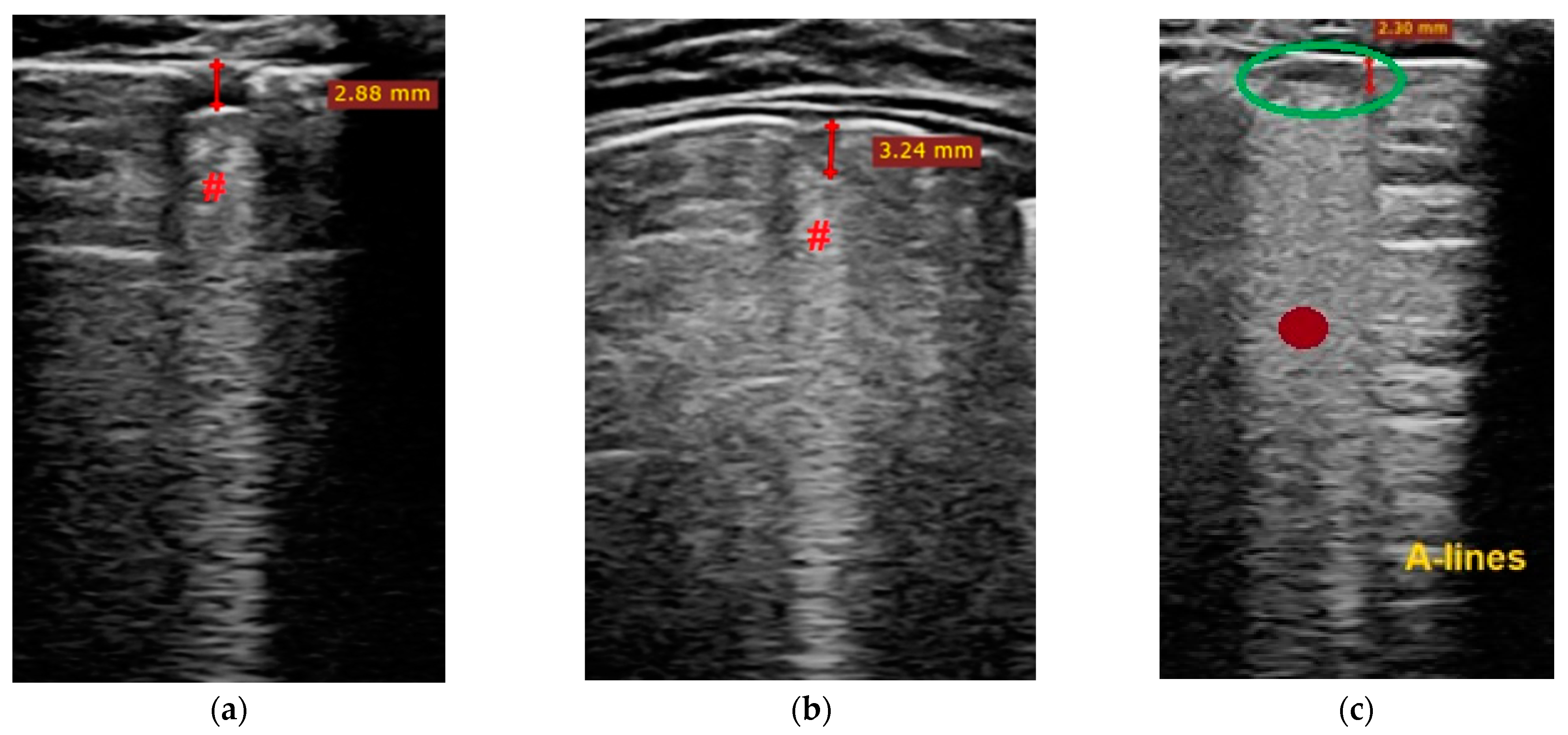 Biomedicines 11 02620 g003a