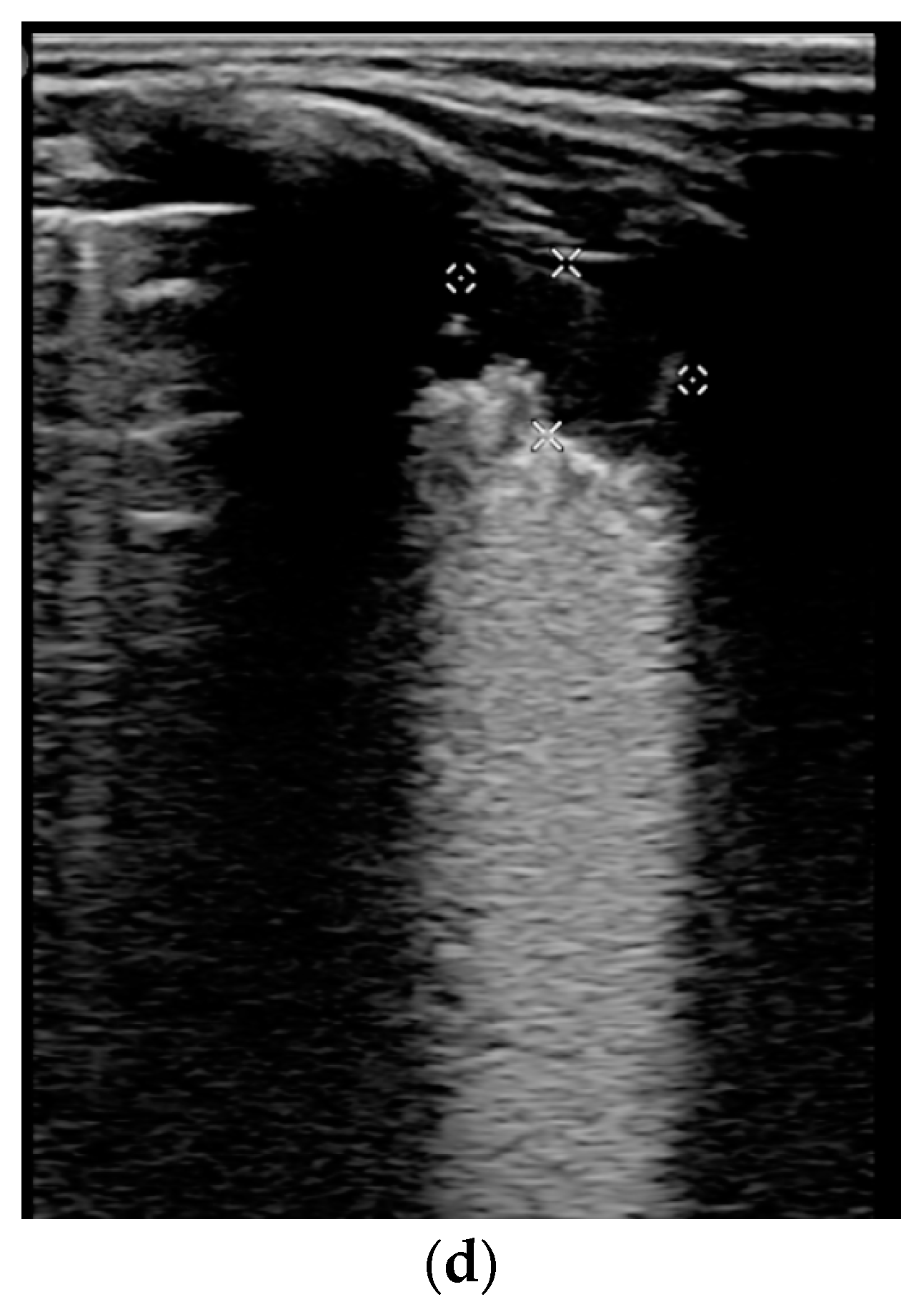 Biomedicines 11 02620 g003b