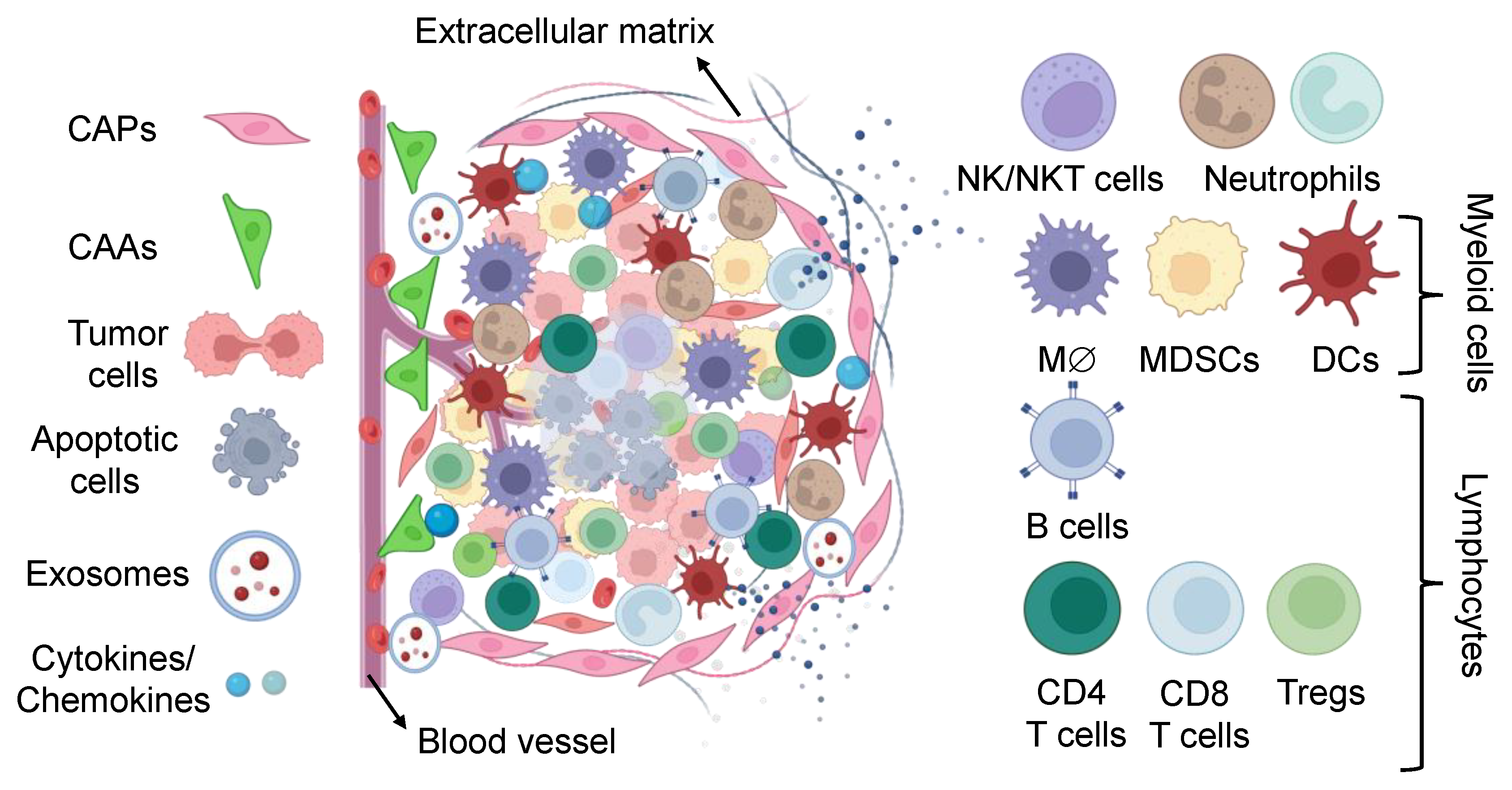 Biomedicines 11 02621 g002 Biomedicines 11 02621 g002