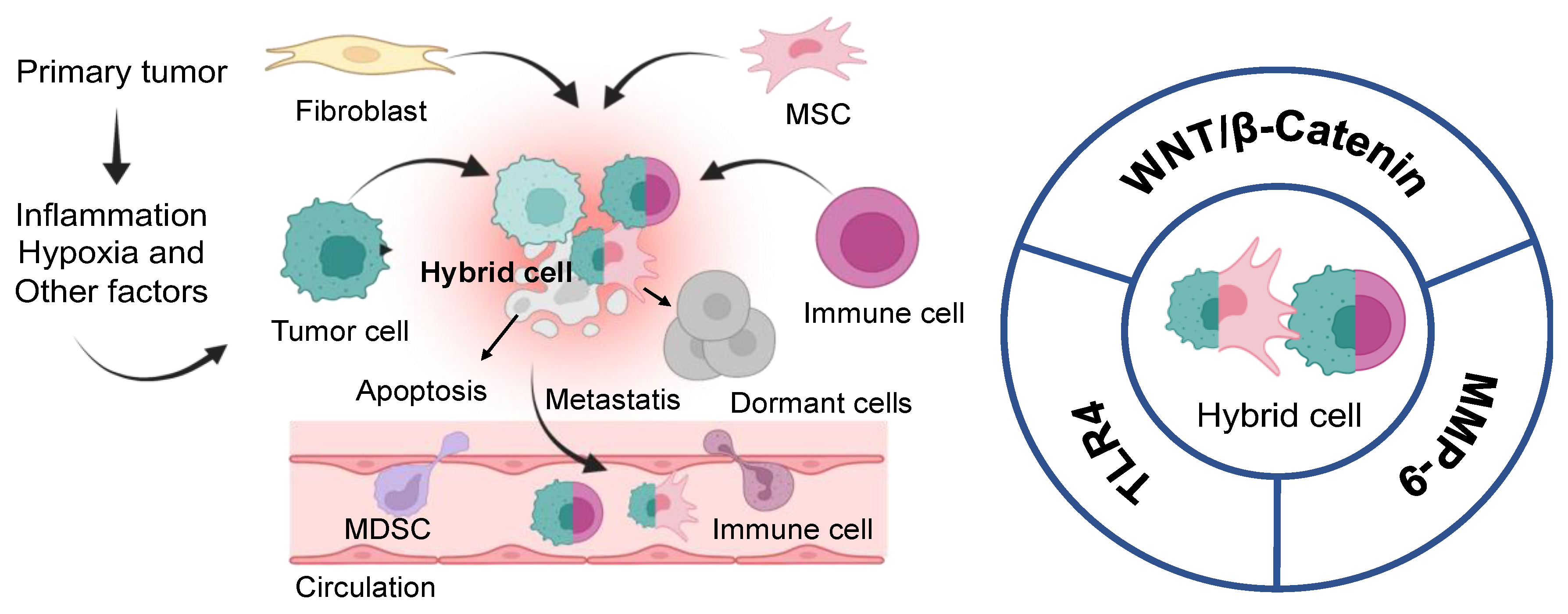 Biomedicines 11 02621 g003 Biomedicines 11 02621 g003
