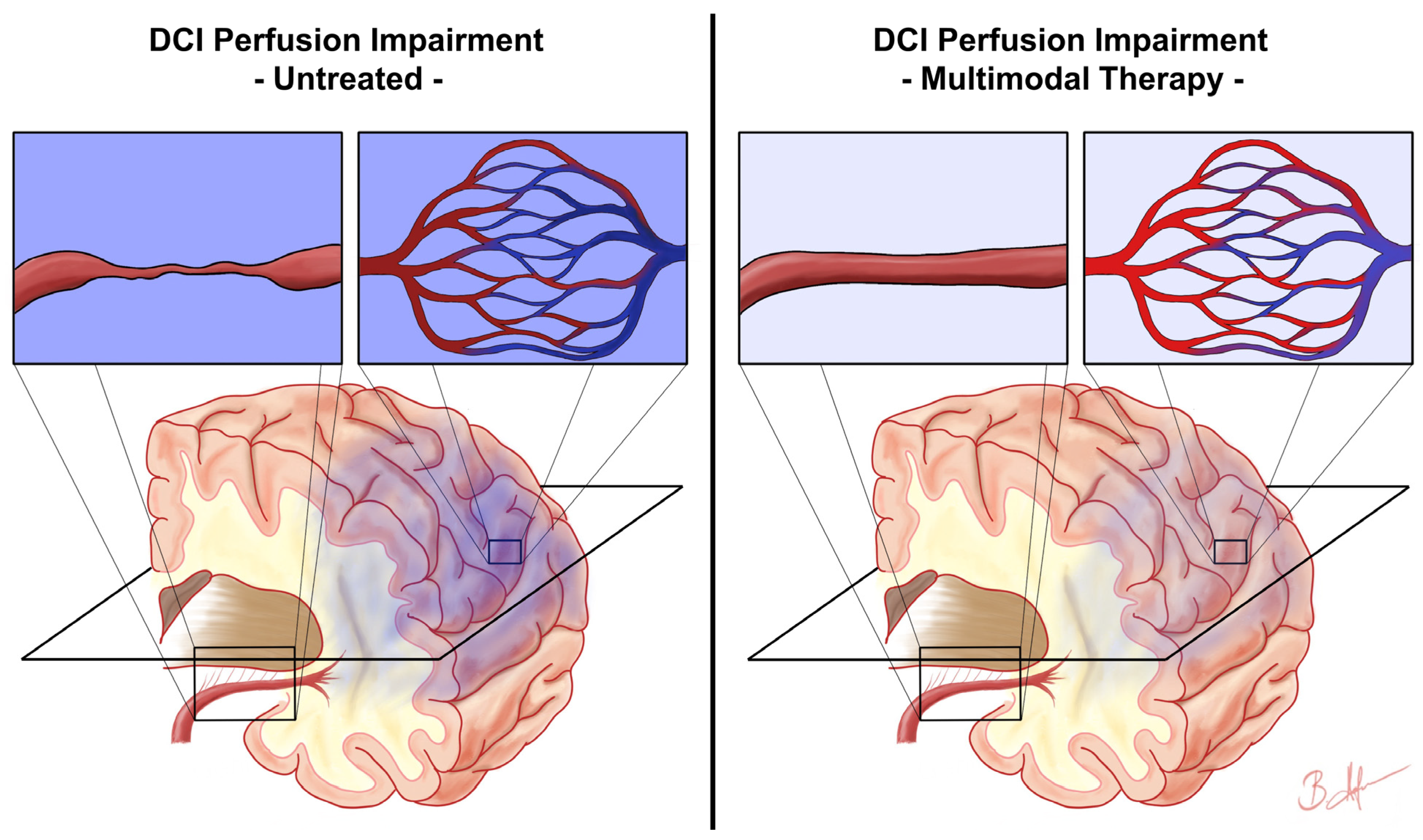 Biomedicines 11 02624 g004