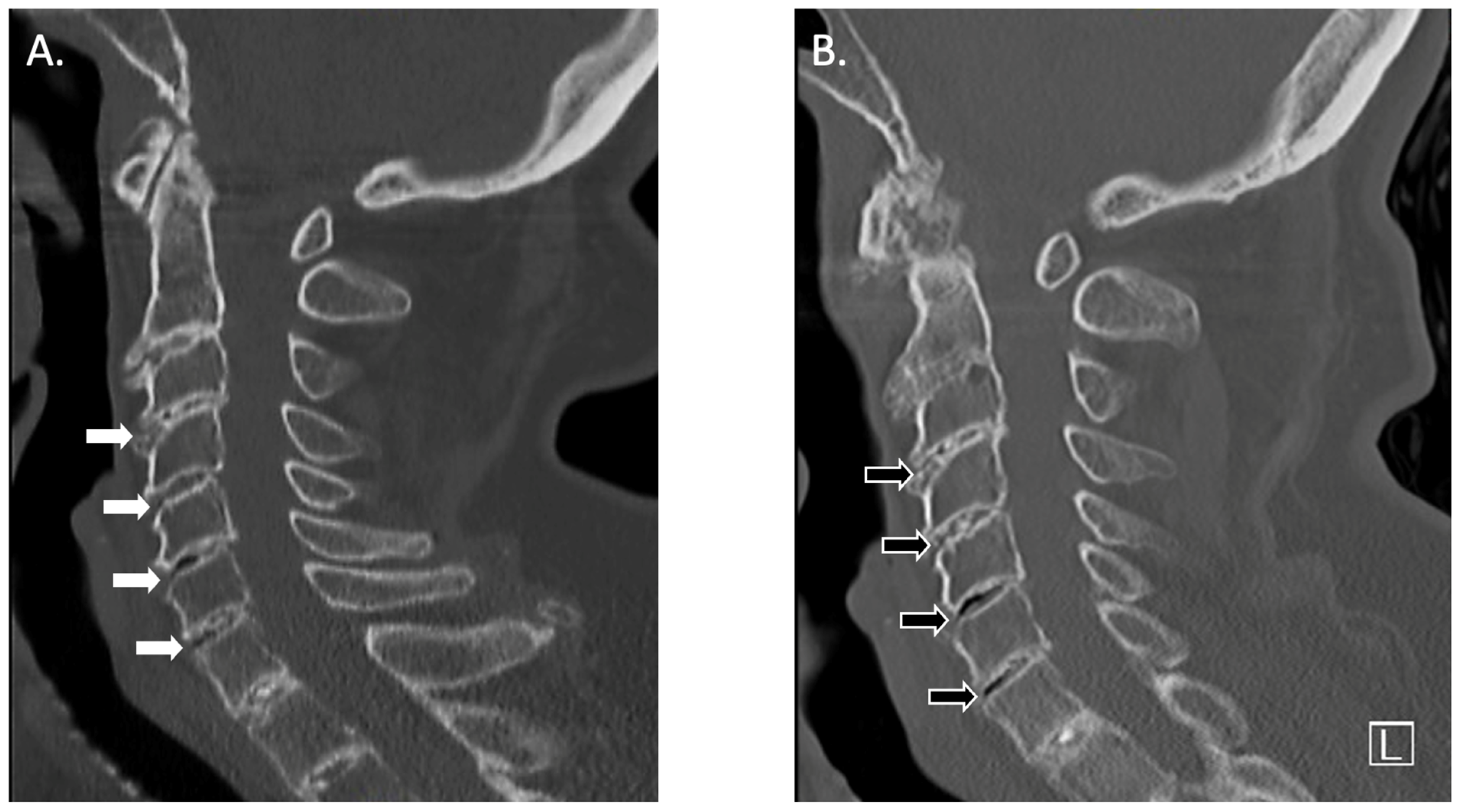 Biomedicines 11 02625 g001
