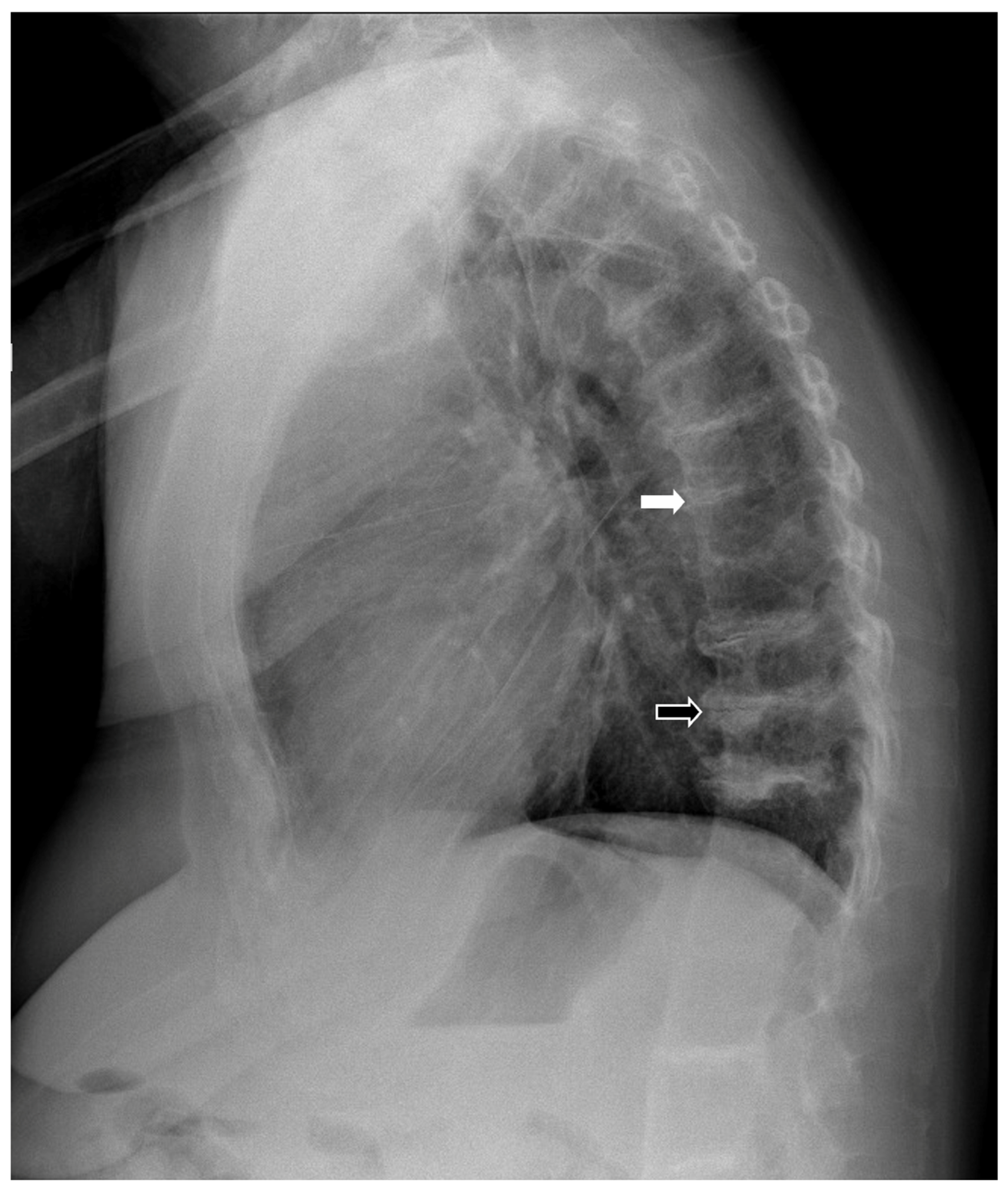 Biomedicines 11 02625 g002