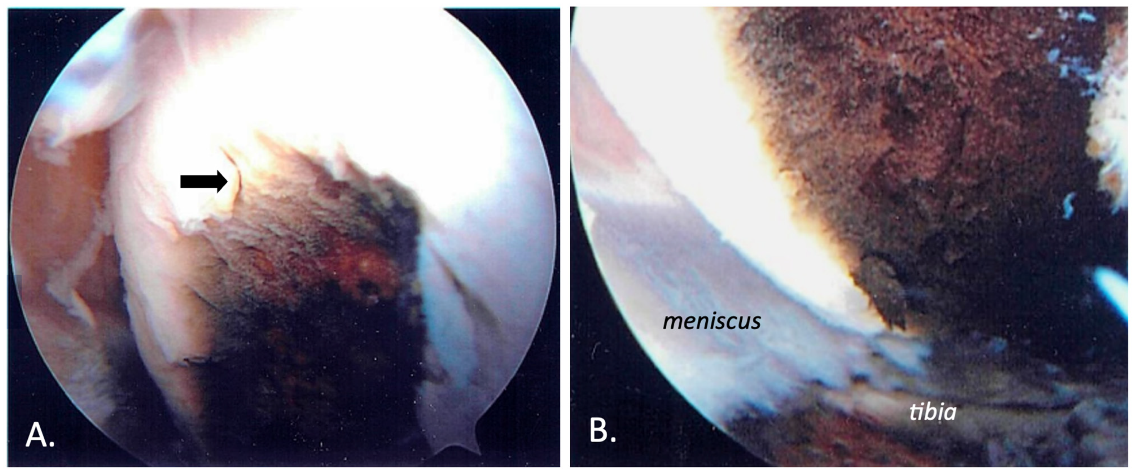 Biomedicines 11 02625 g003