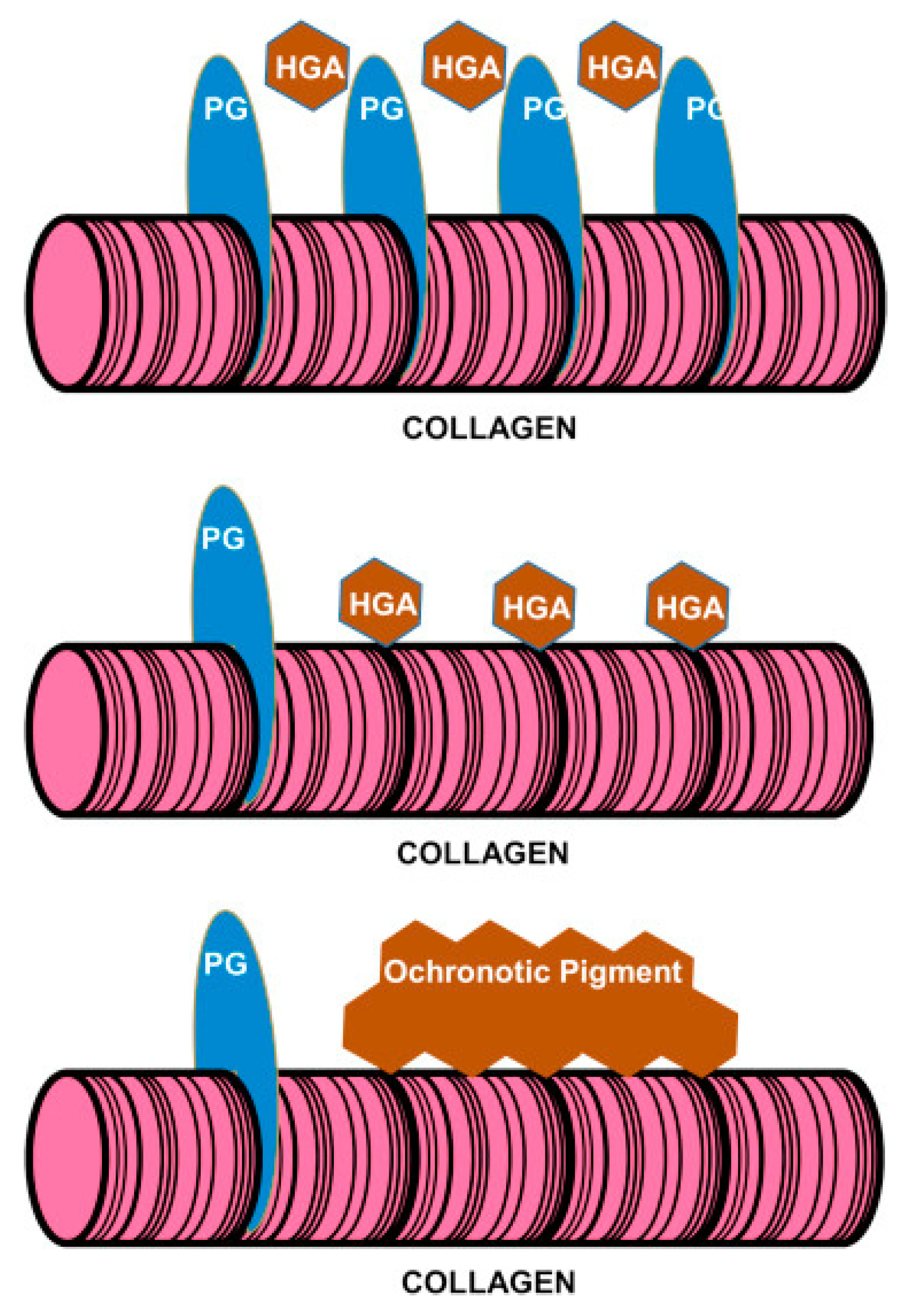 Biomedicines 11 02625 g005