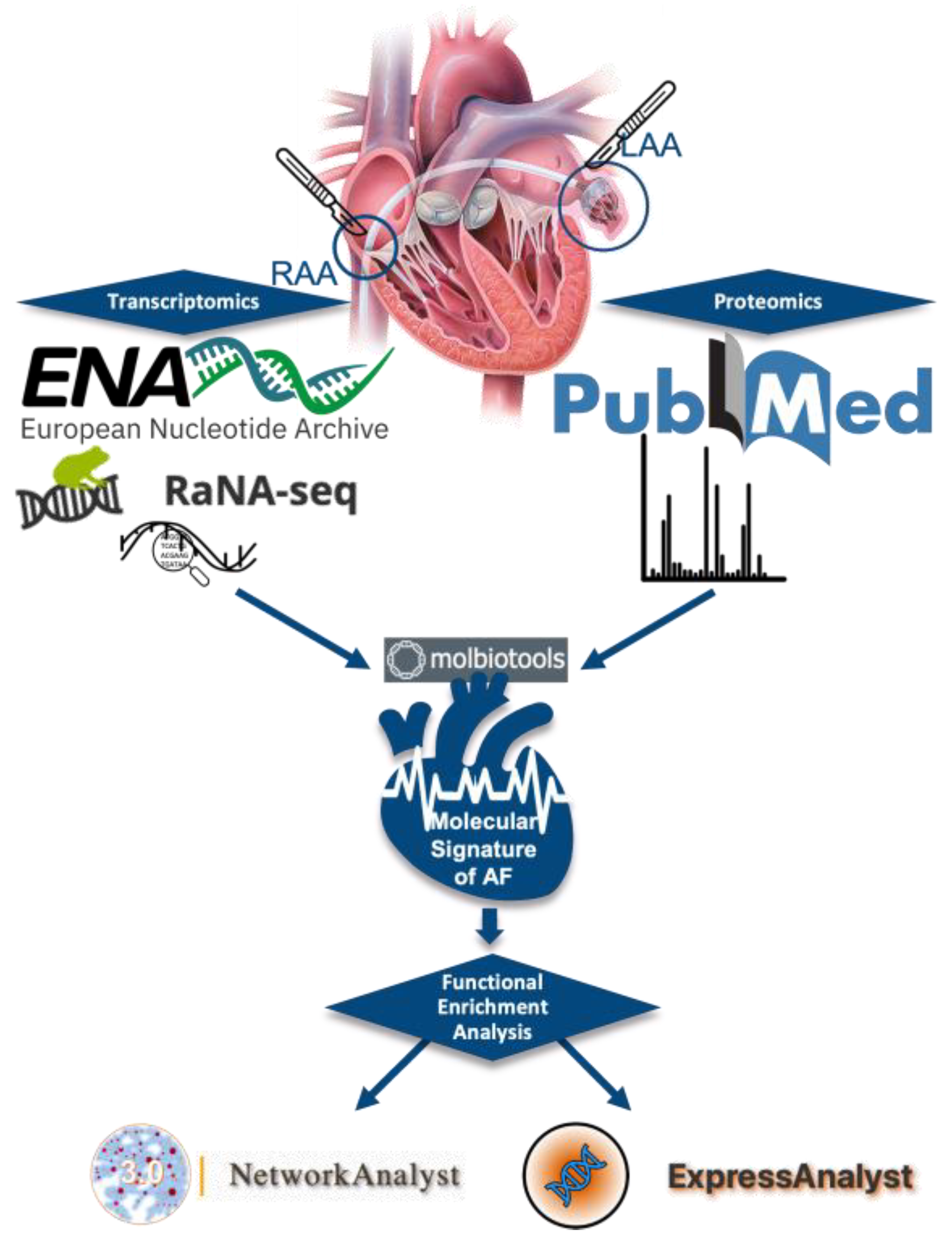 Biomedicines 11 02632 g001 Biomedicines 11 02632 g001