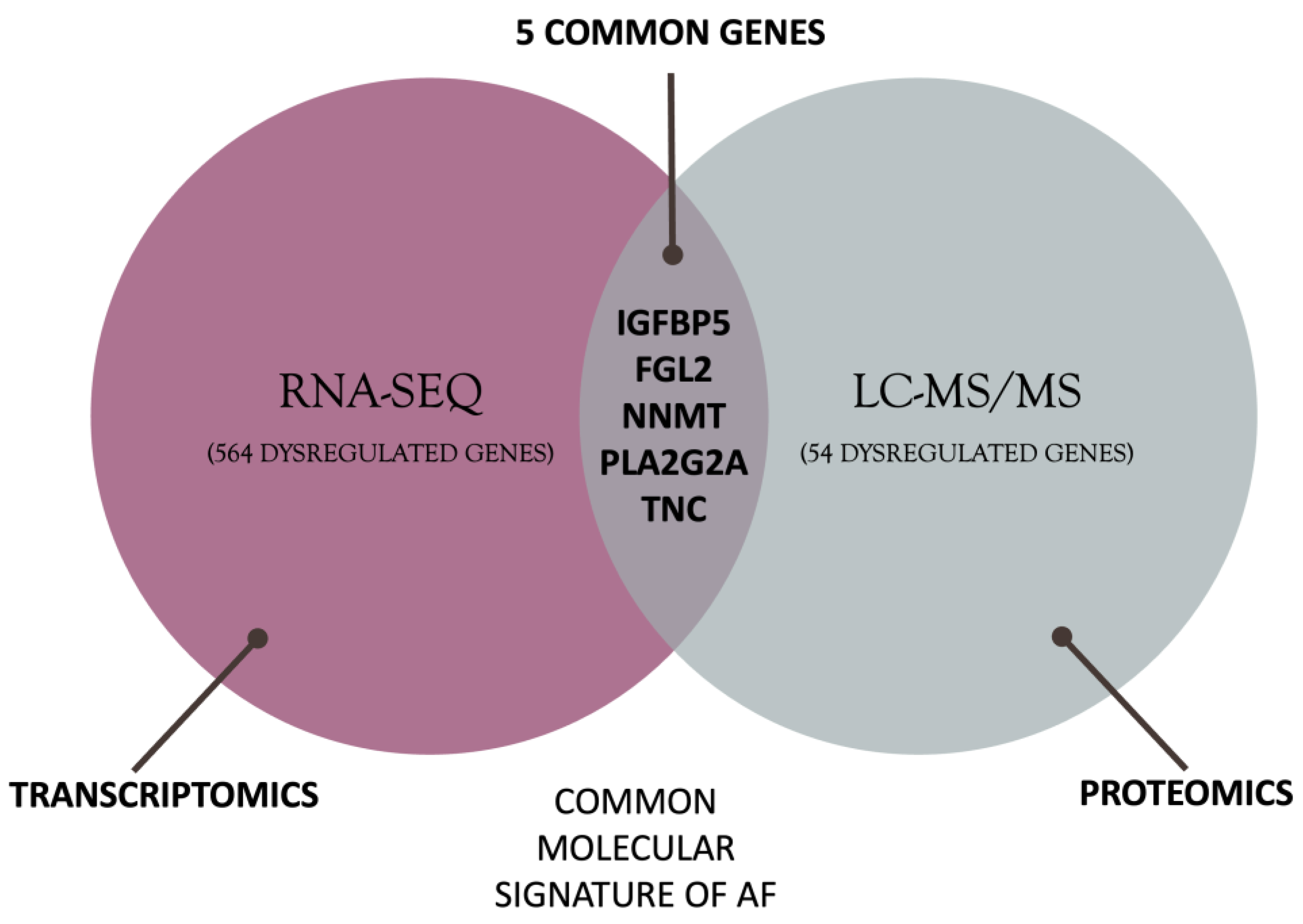 Biomedicines 11 02632 g002 Biomedicines 11 02632 g002