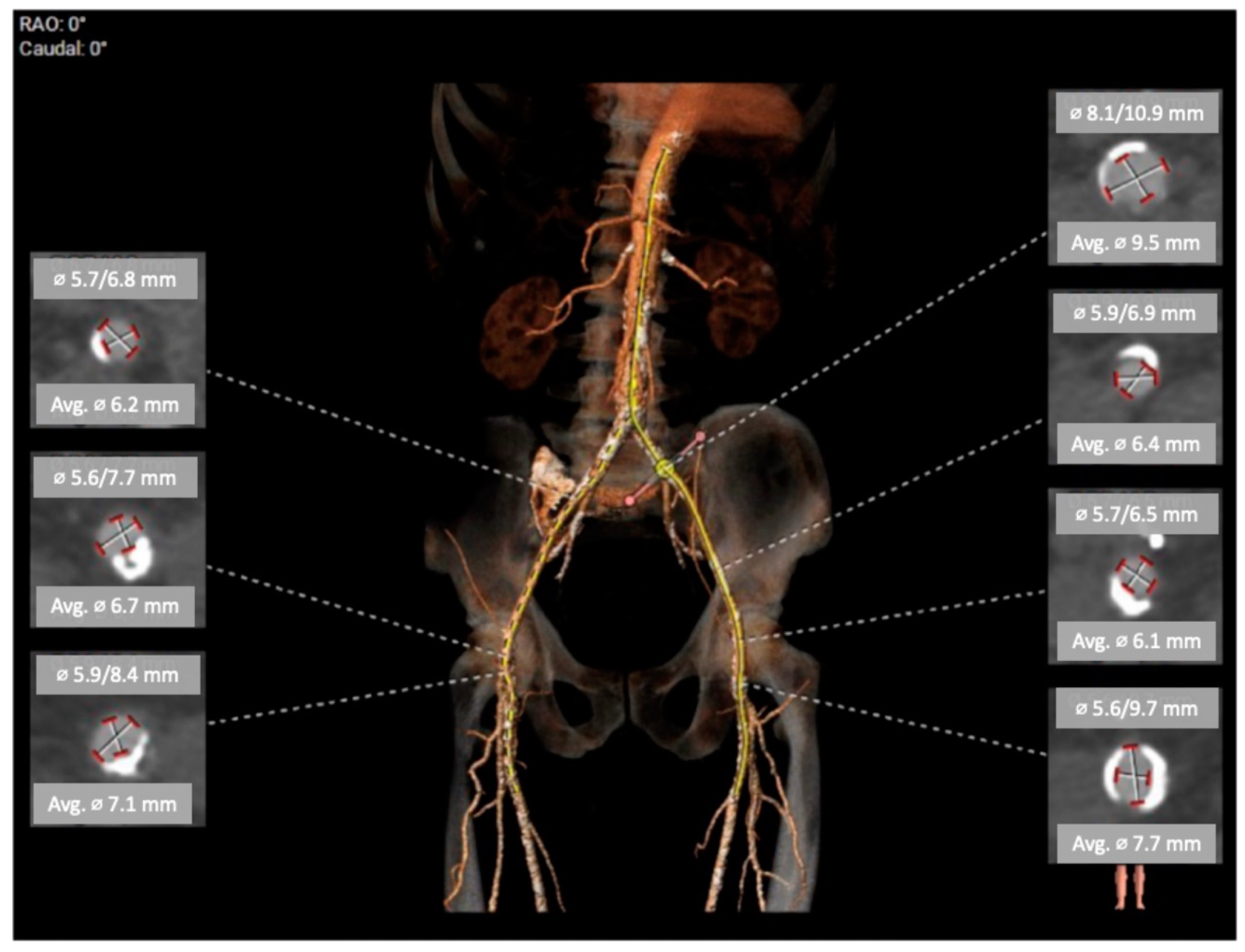 Biomedicines 11 02634 g001