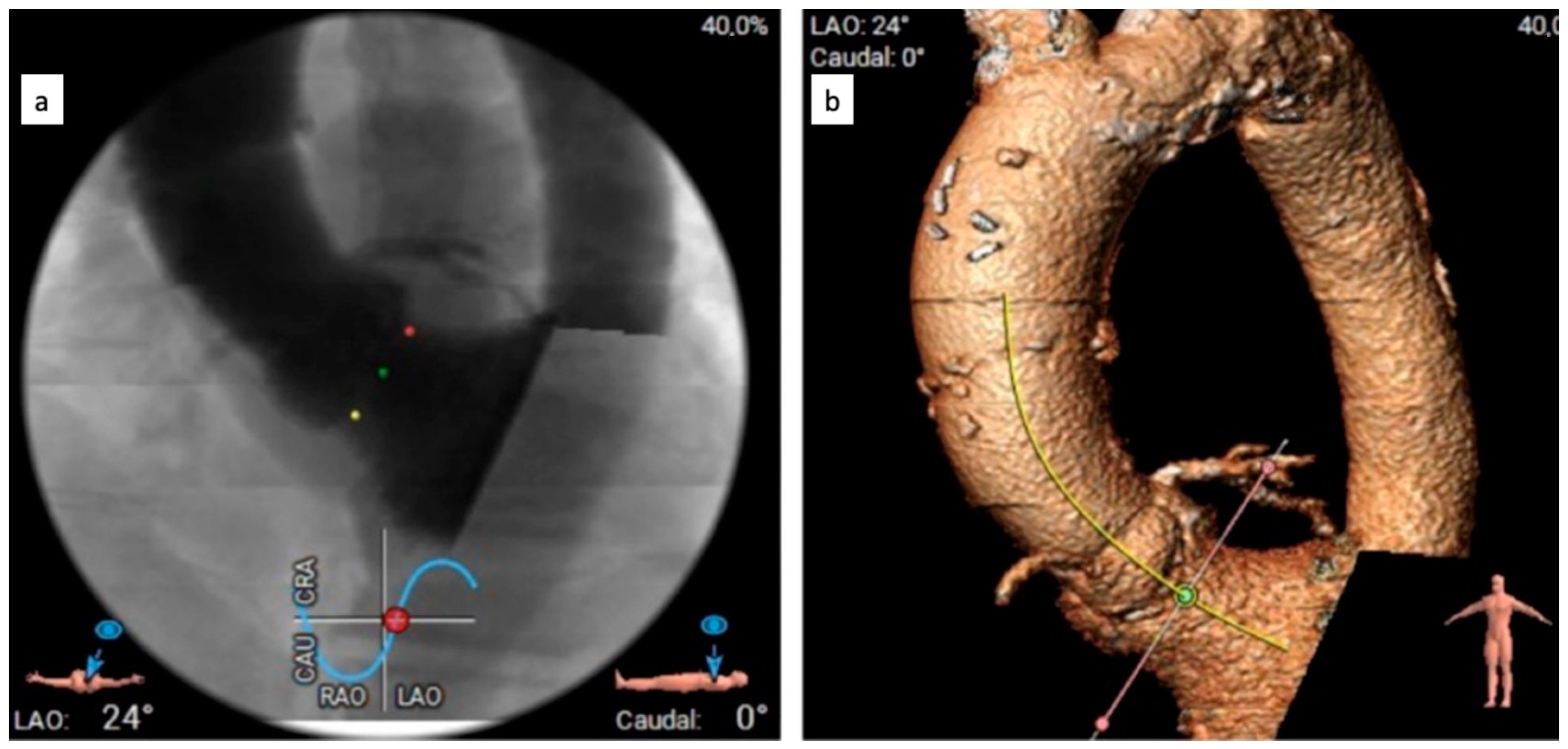 Biomedicines 11 02634 g002