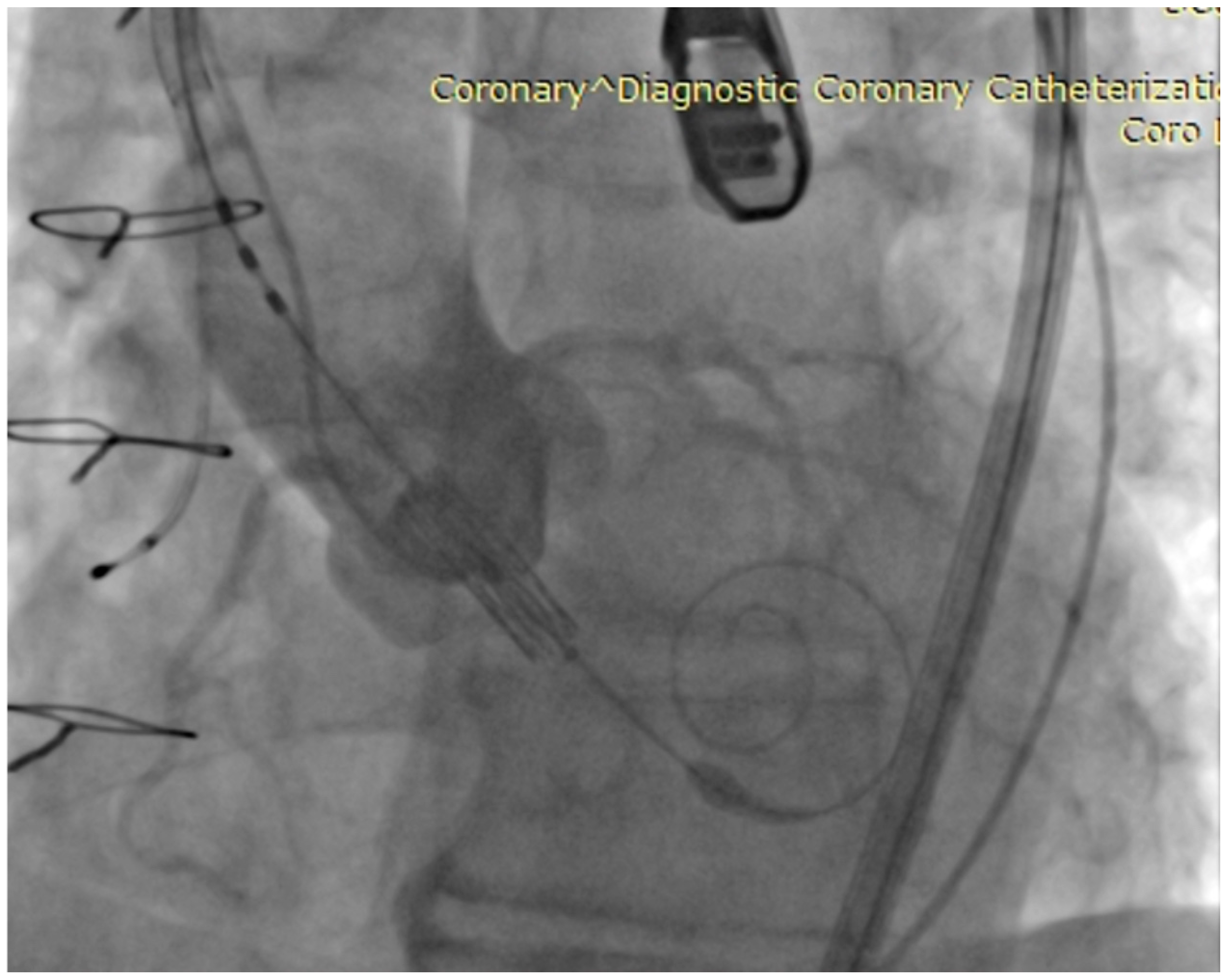 Biomedicines 11 02634 g003