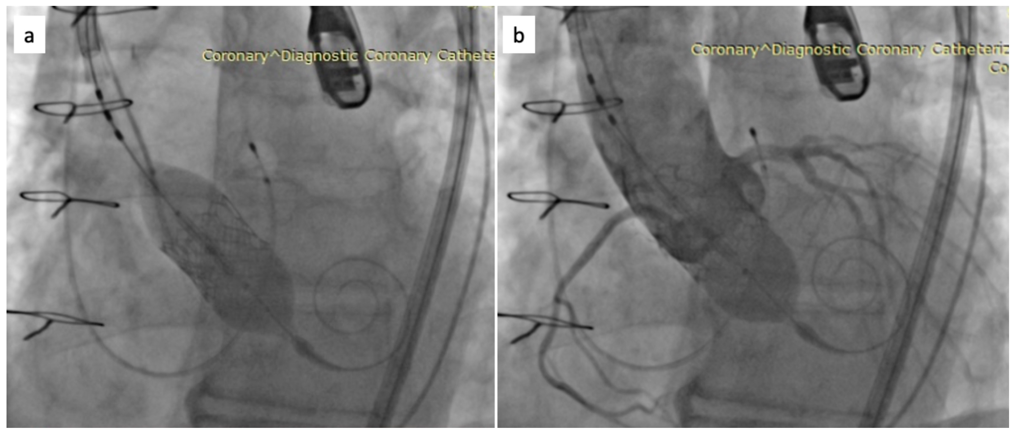 Biomedicines 11 02634 g004