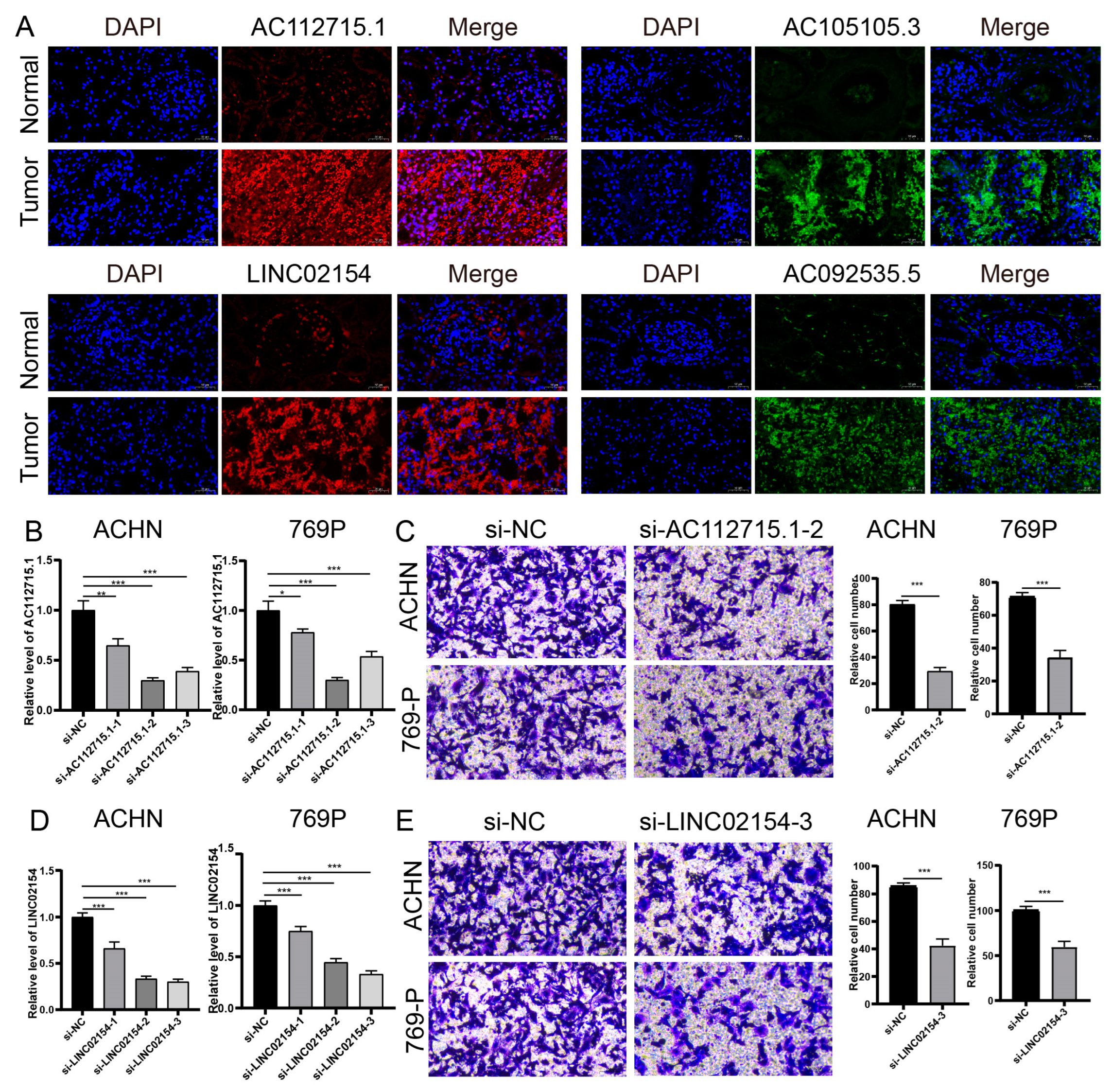 Biomedicines 11 02635 g013