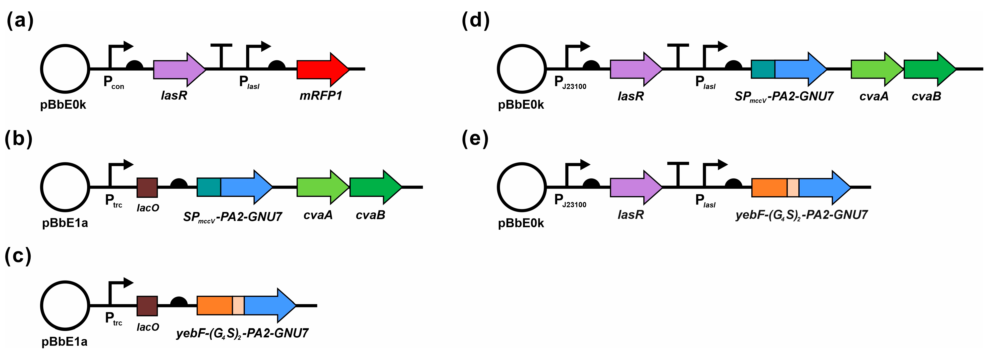 Biomedicines 11 02645 g001 Biomedicines 11 02645 g001
