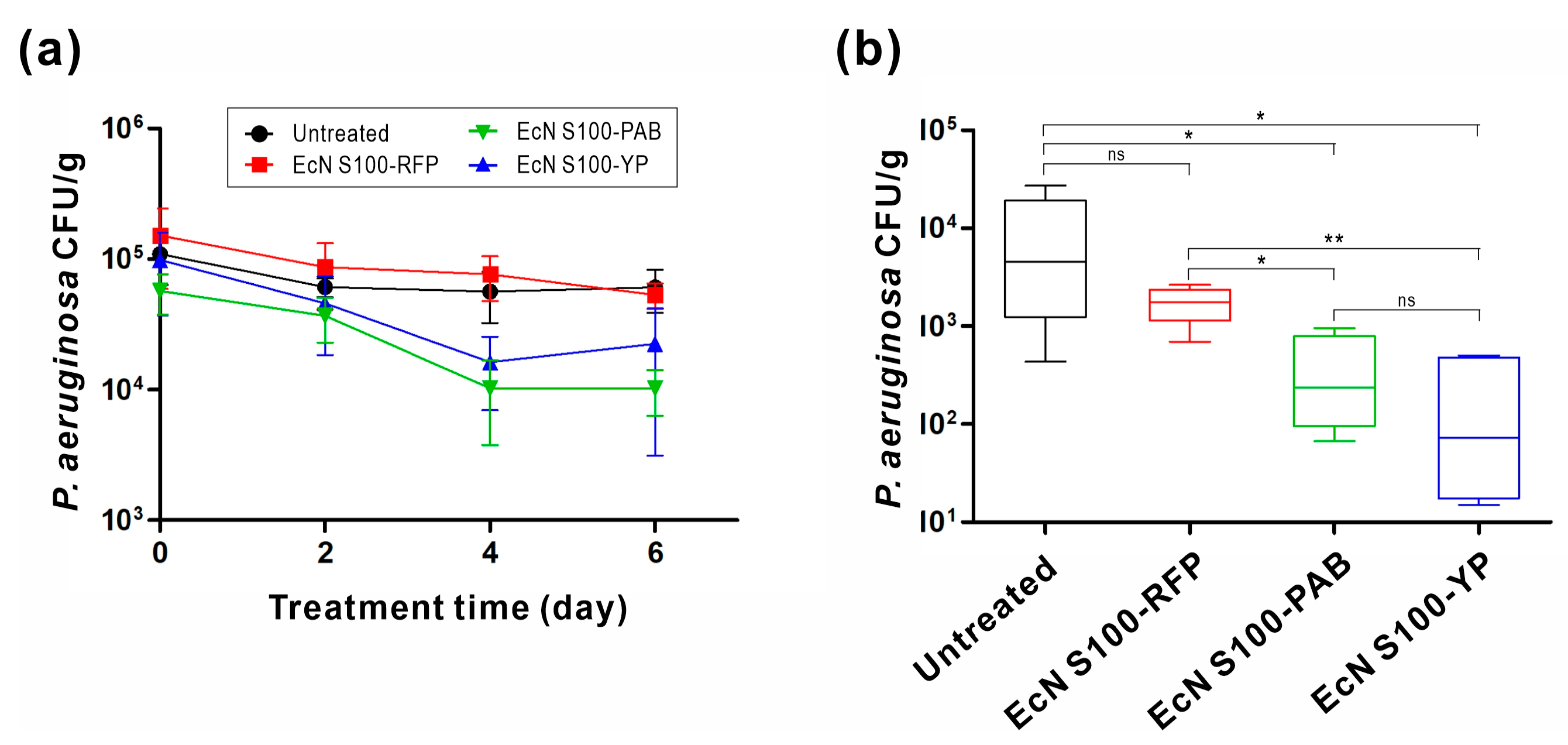 Biomedicines 11 02645 g006 Biomedicines 11 02645 g006