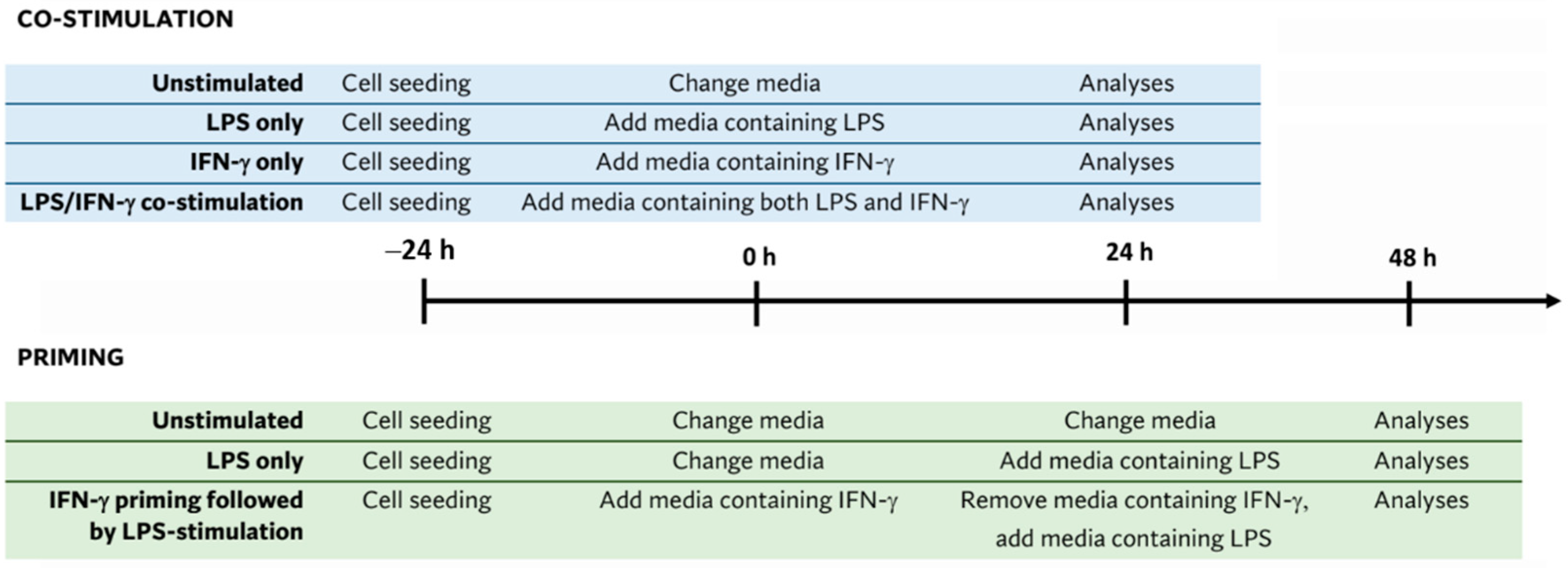 Biomedicines 11 02648 g001
