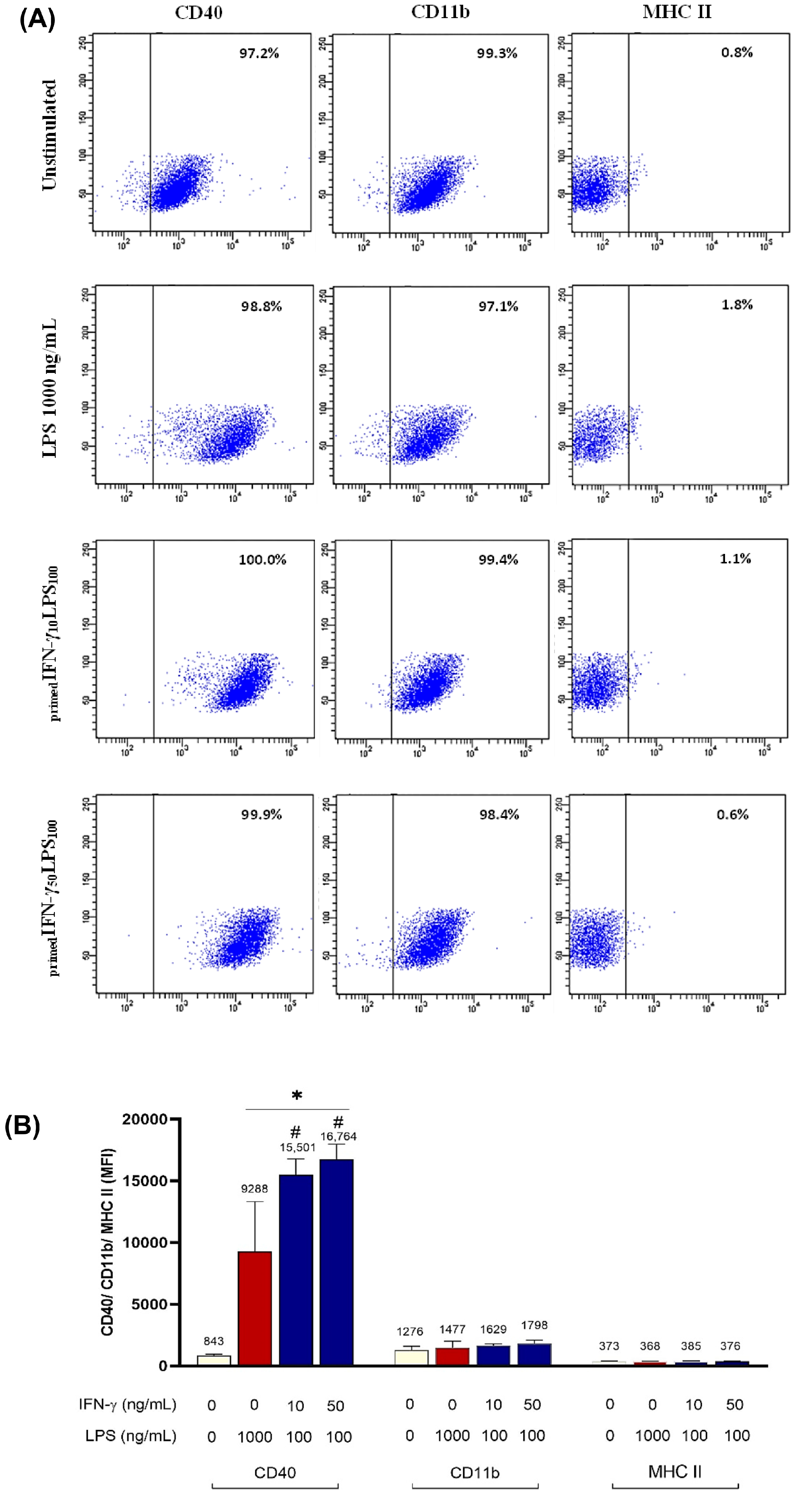 Biomedicines 11 02648 g006