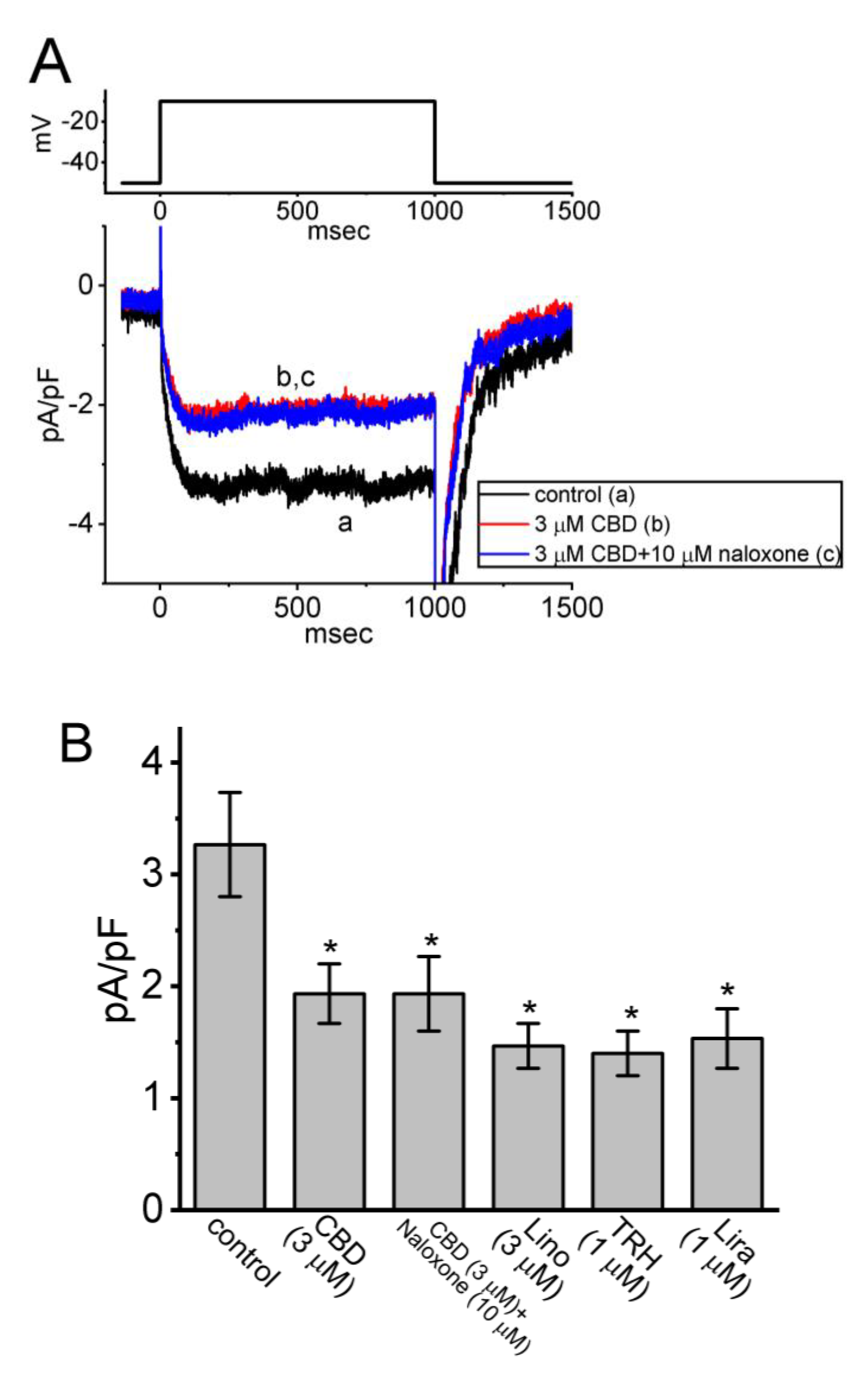 Biomedicines 11 02651 g003