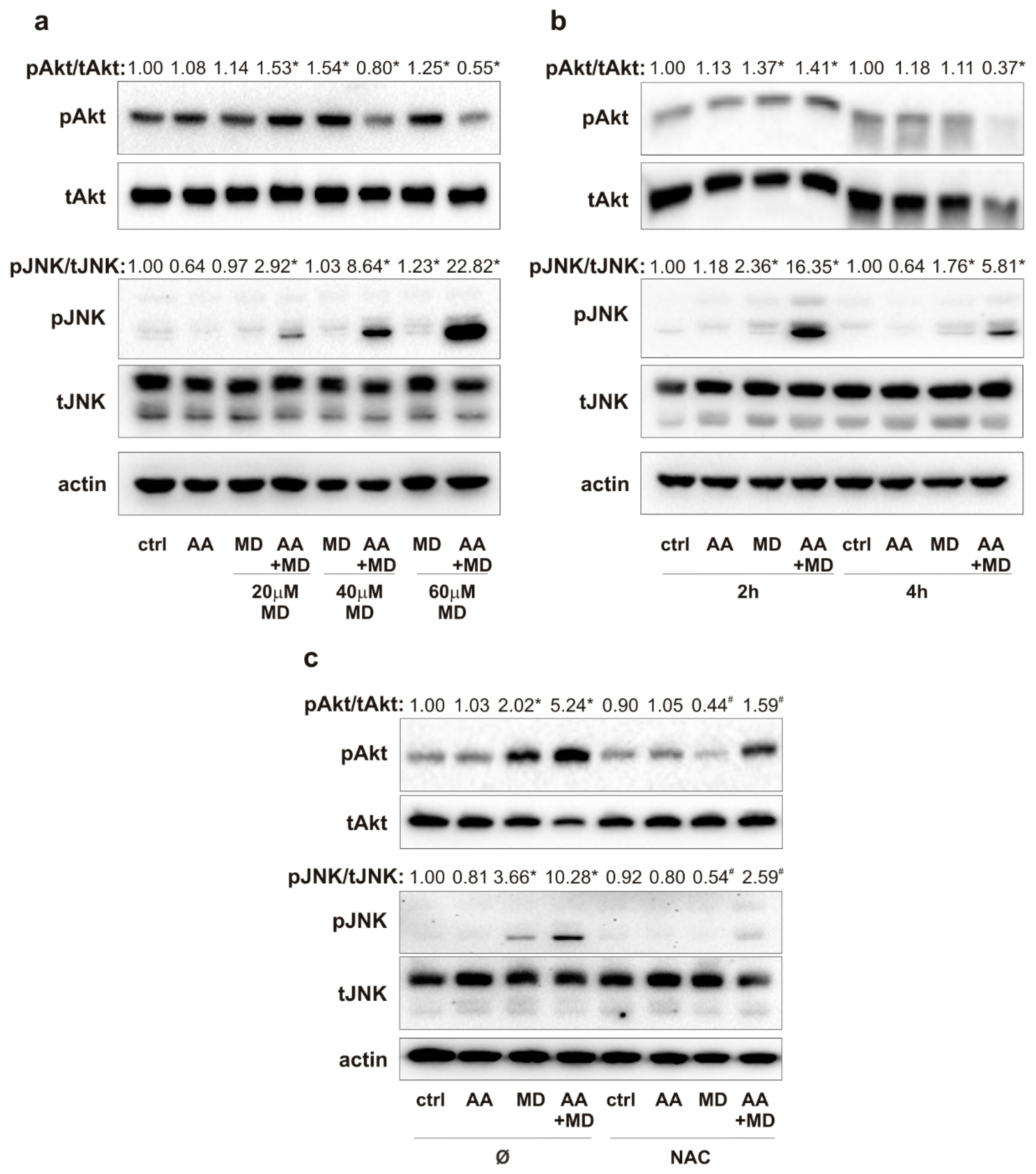 Biomedicines 11 02652 g002