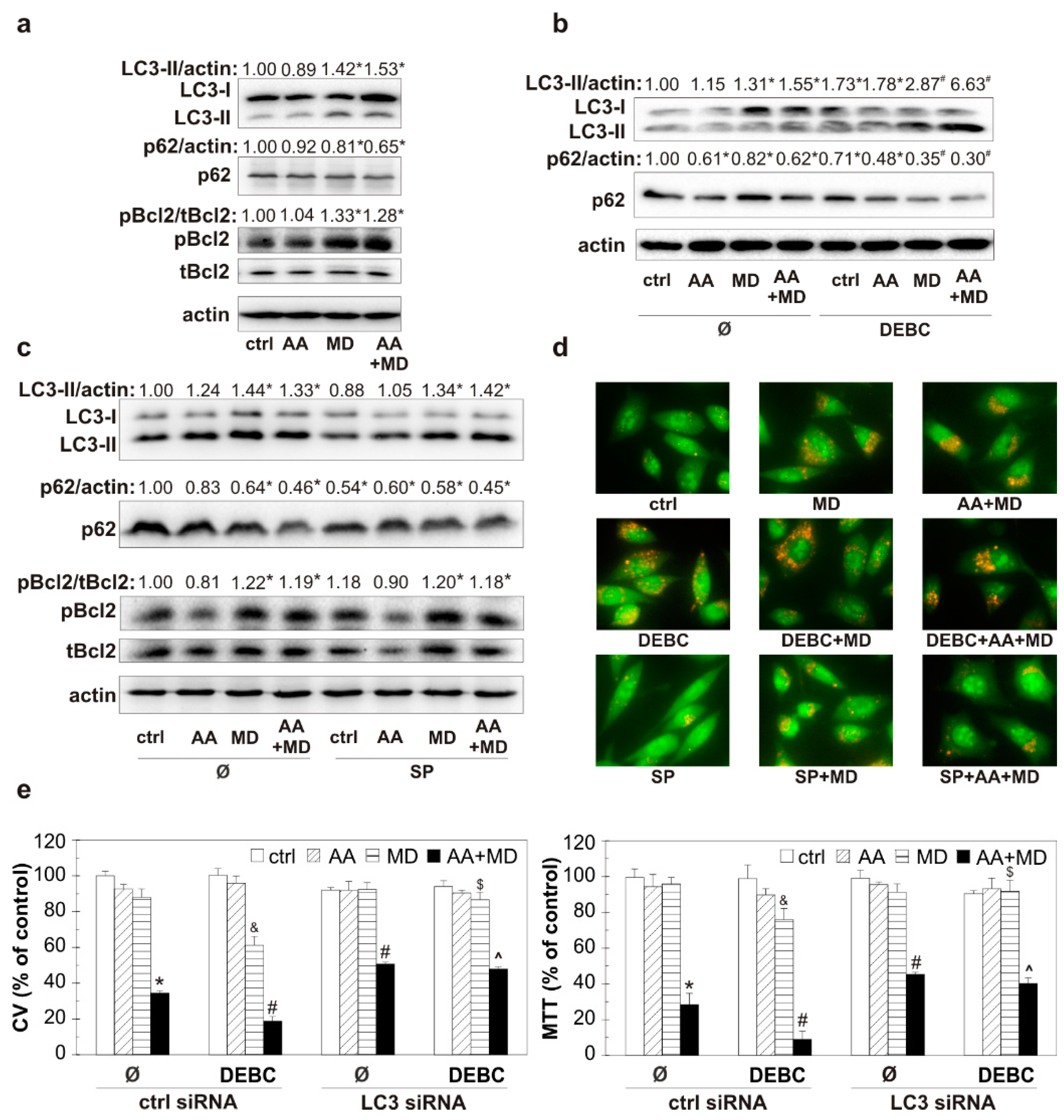 Biomedicines 11 02652 g004