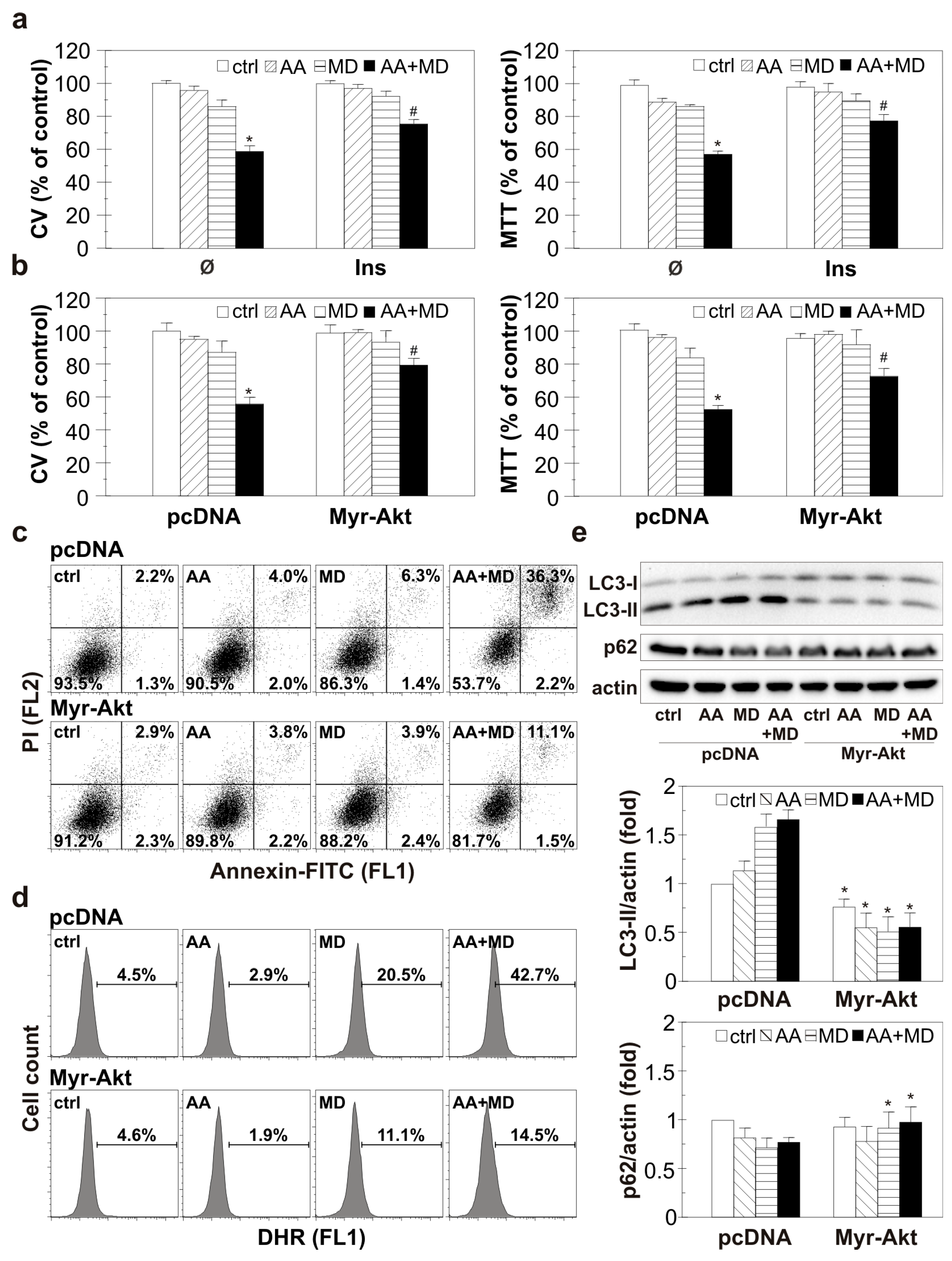 Biomedicines 11 02652 g005