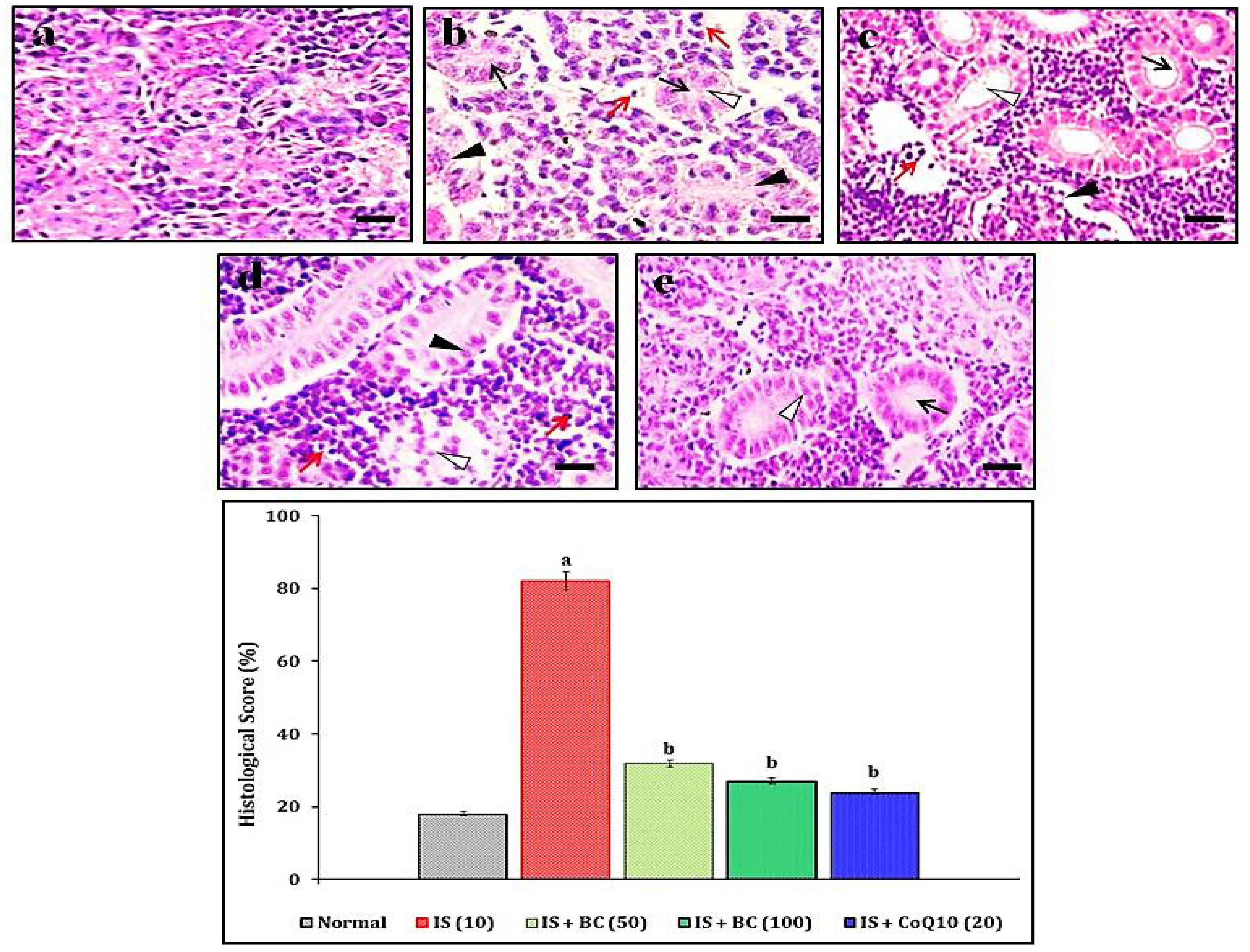 Biomedicines 11 02654 g001 Biomedicines 11 02654 g001
